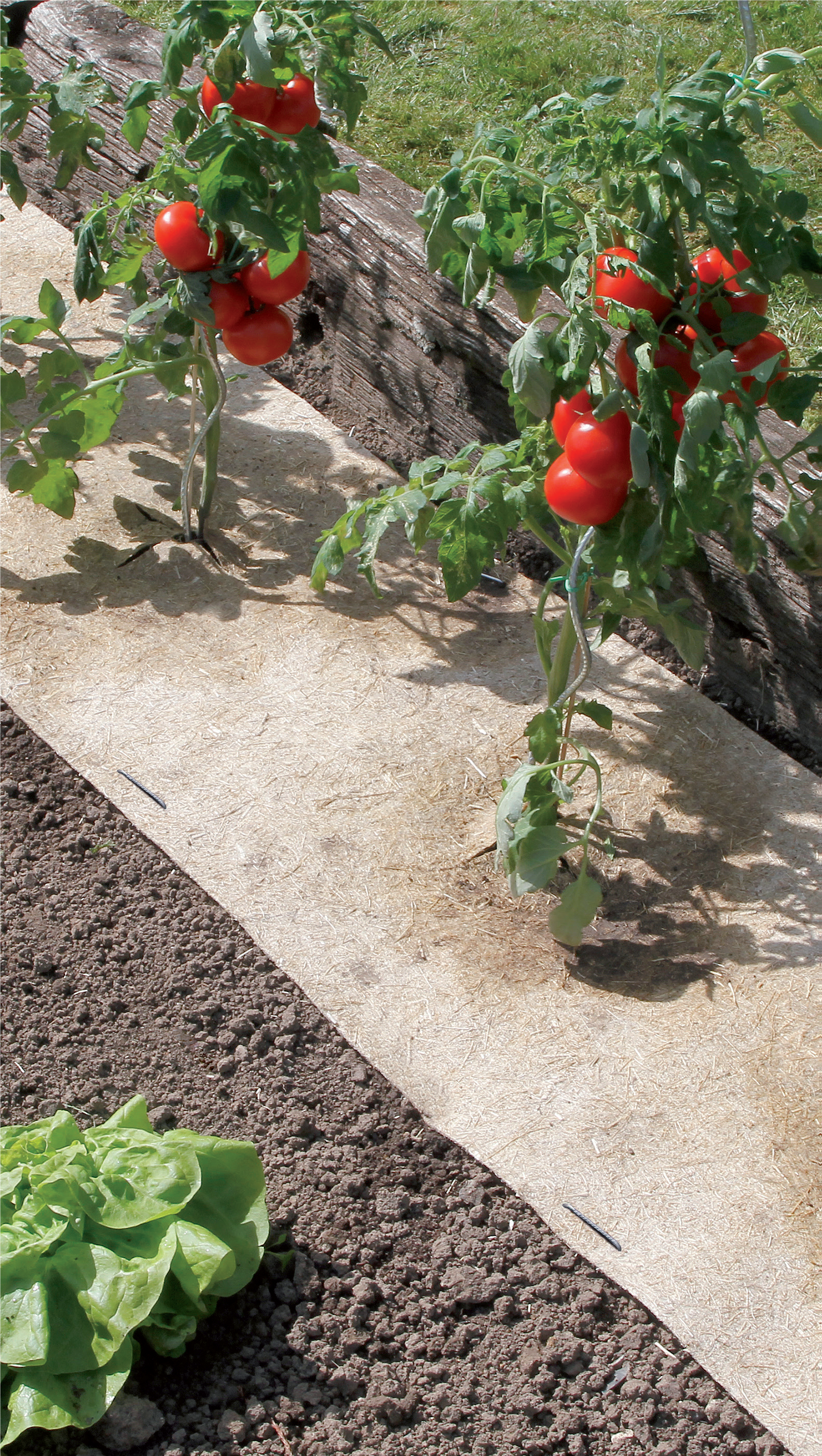 Toile de paillage NORTENE, 500 g/m², L3 x l.0.49 m - 2