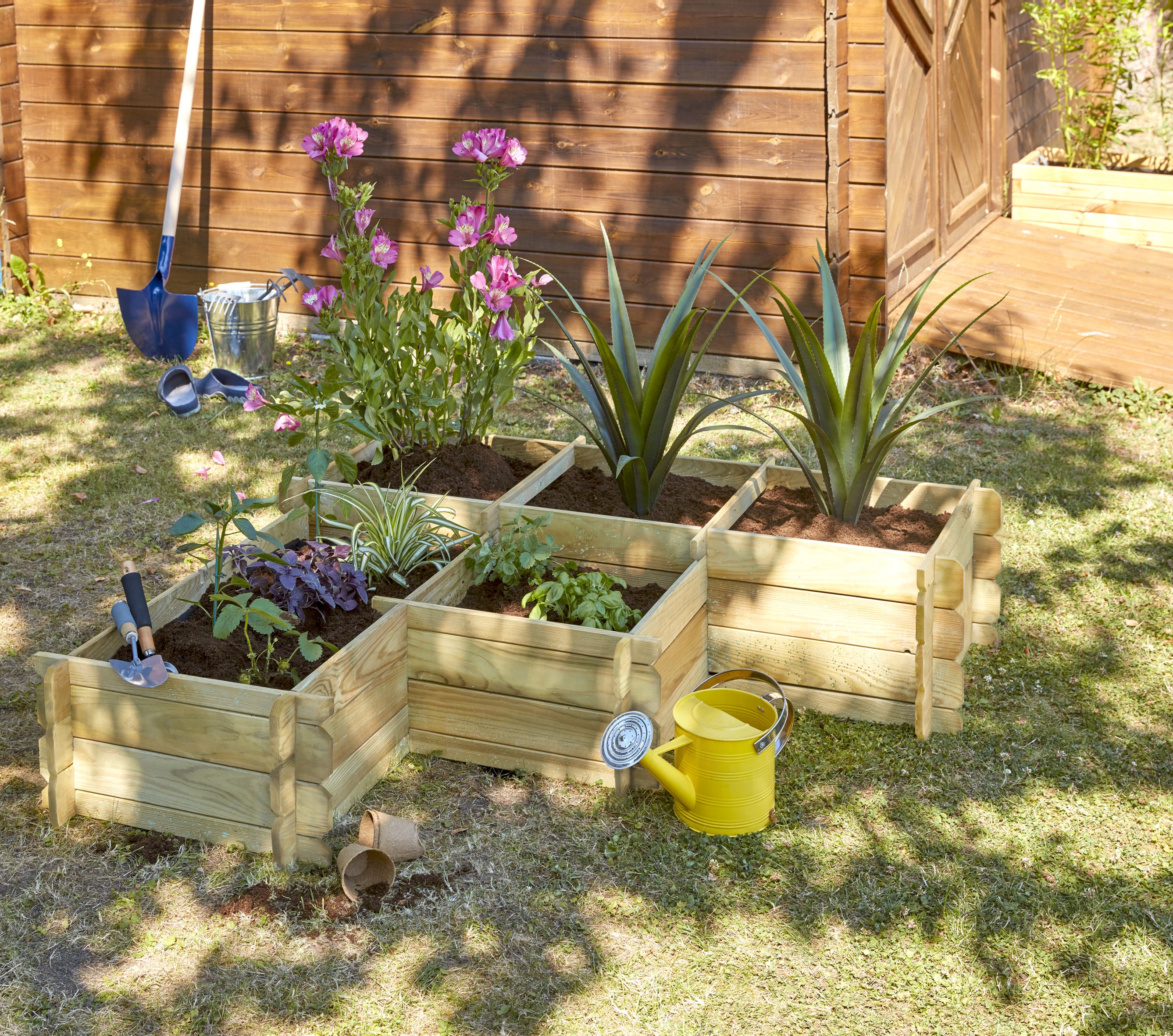 Mini Carré Potager En Bois FSC Avec Vitre D'observation – Jardinage éducatif Pour Enfants | Dès 3 Ans