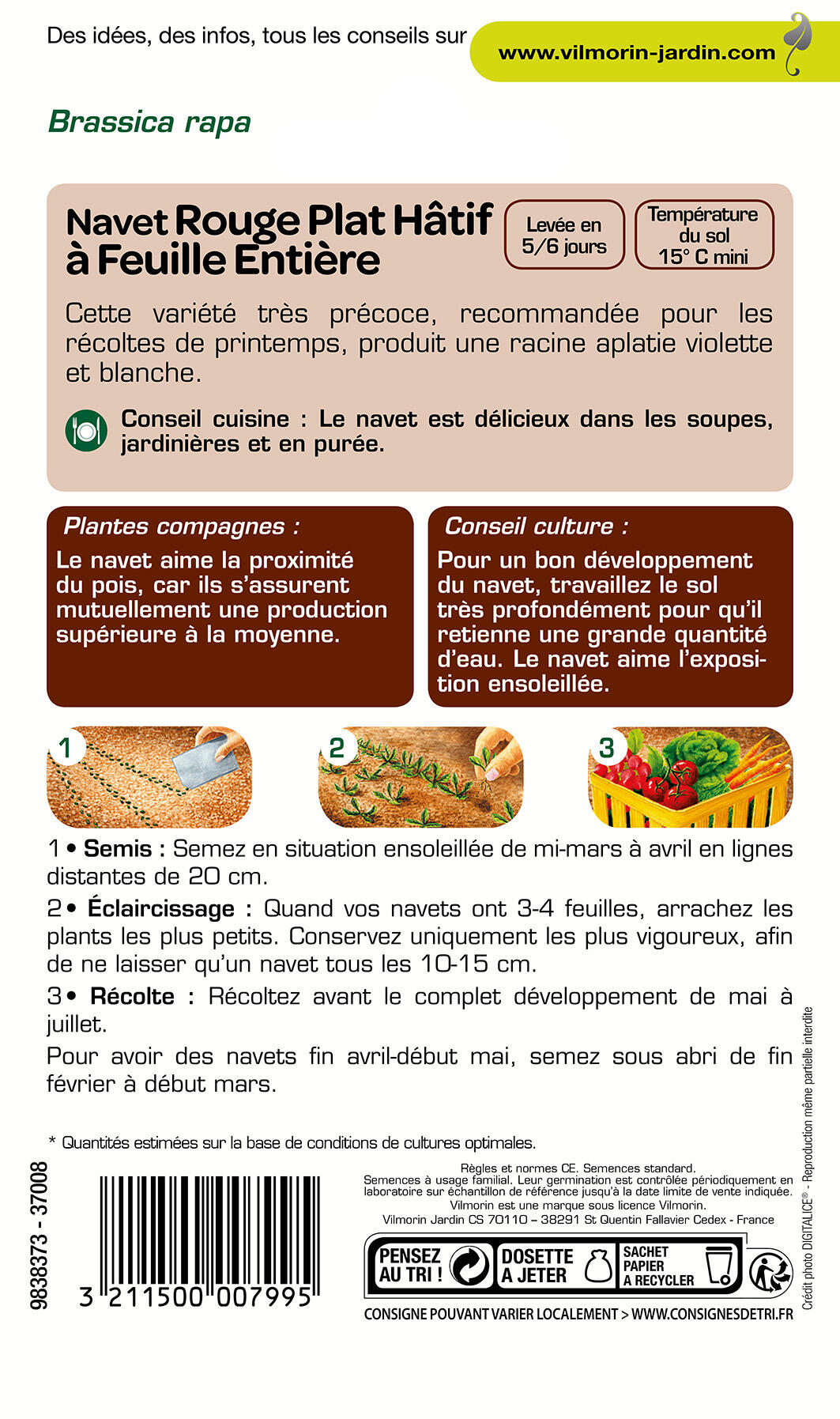 Graines de navet VILMORIN 4 g - 2