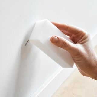 Σετ 2 Τεμαχίων Magic Sponge