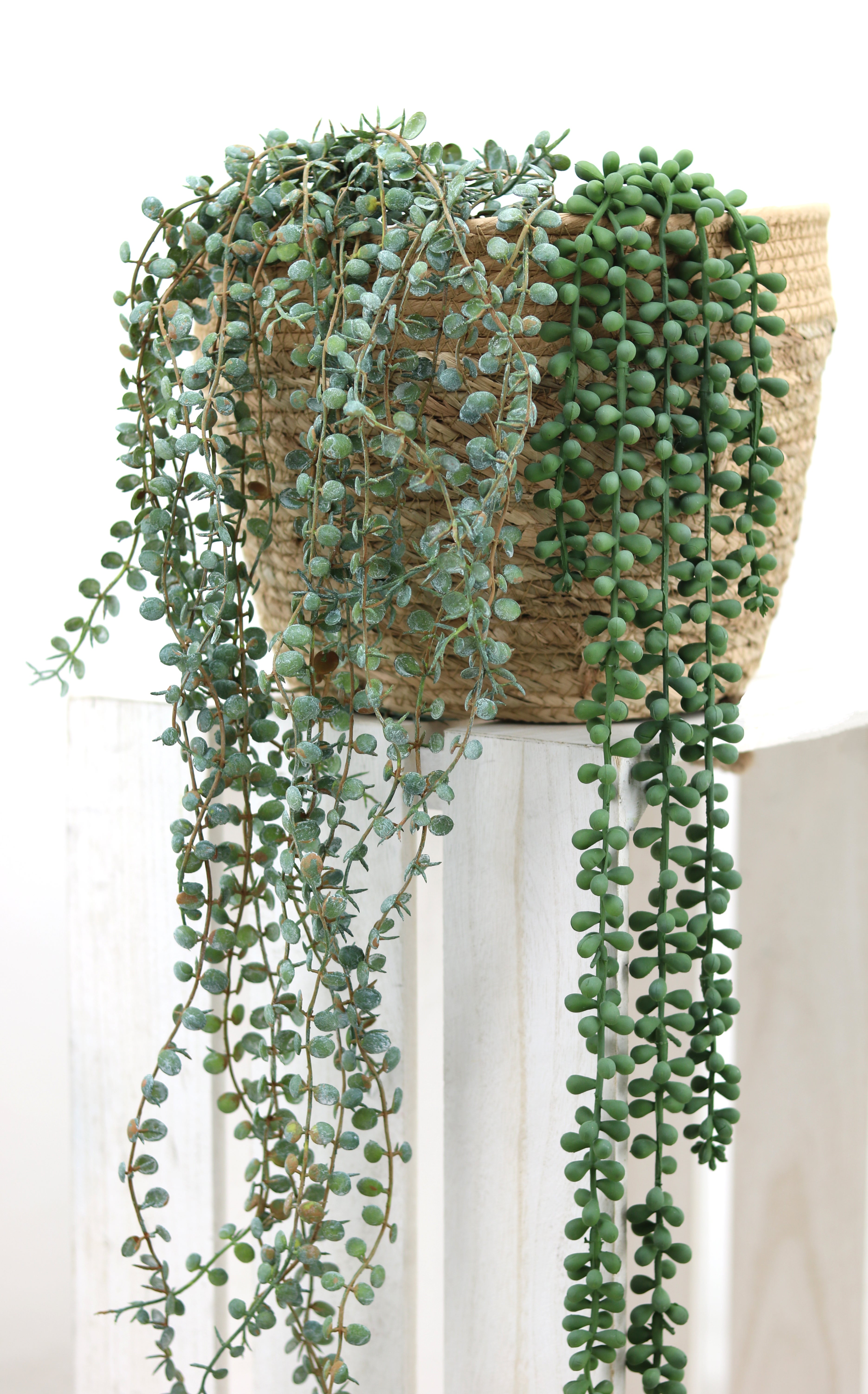 Chute de ceropegia woodii artificiel H70 cm, Ligne Déco - 2