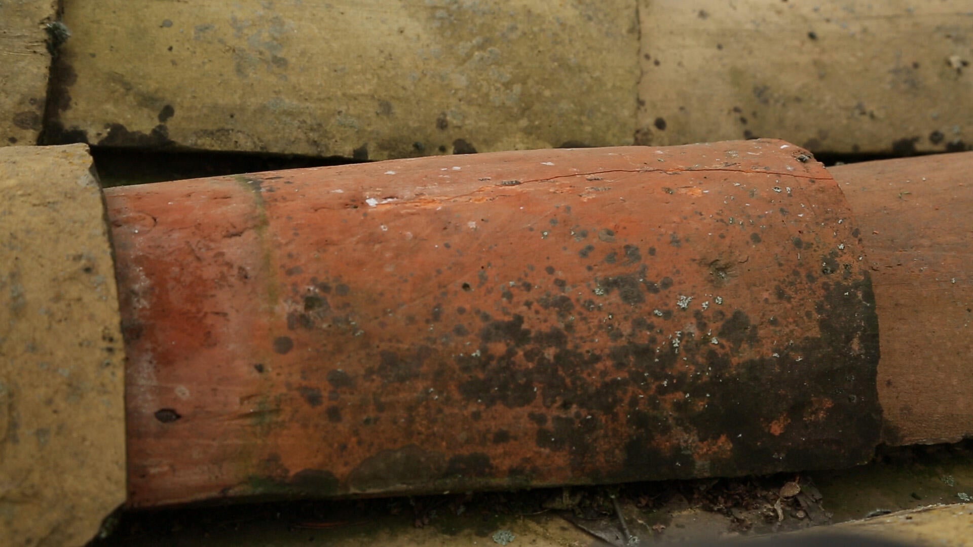 Imperméabilisant SIKA Sikagard 4 l blanc - 10