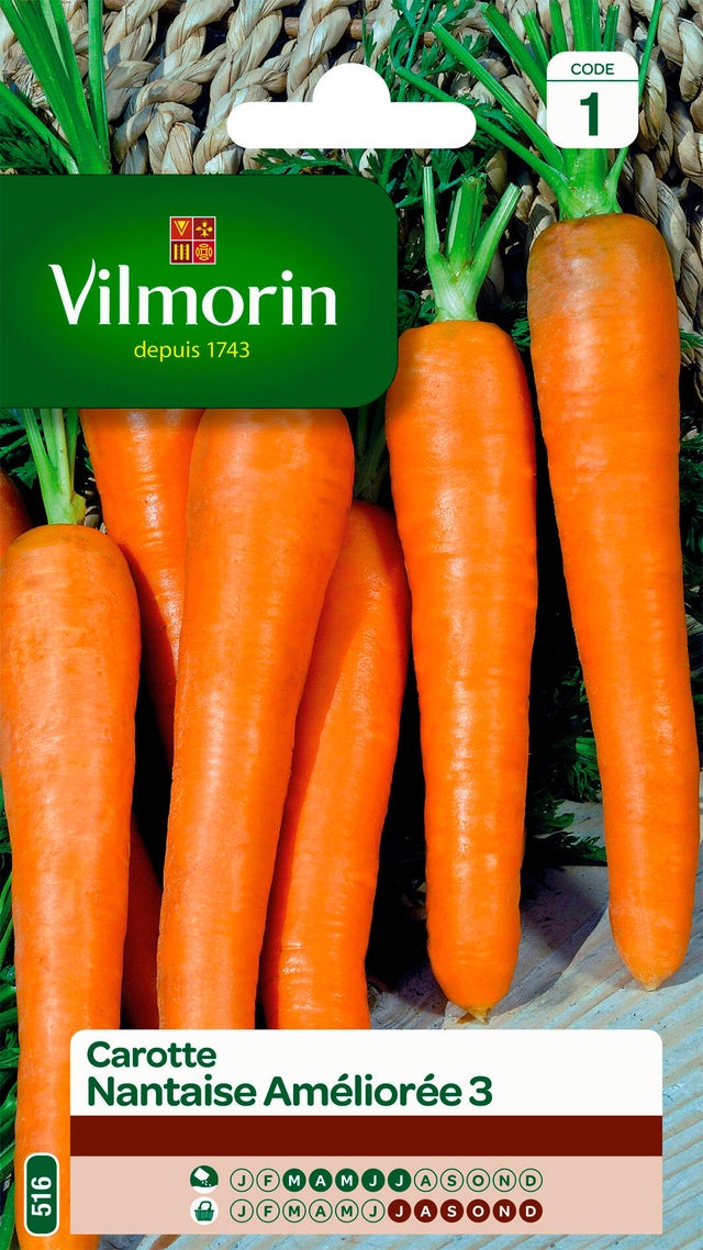 Graines de carotte VILMORIN 4 g