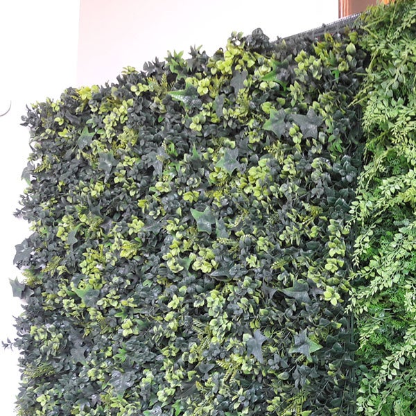 Mur végétal artificiel lierre, H.1 x L.1 m, FRANCE GREEN - 8