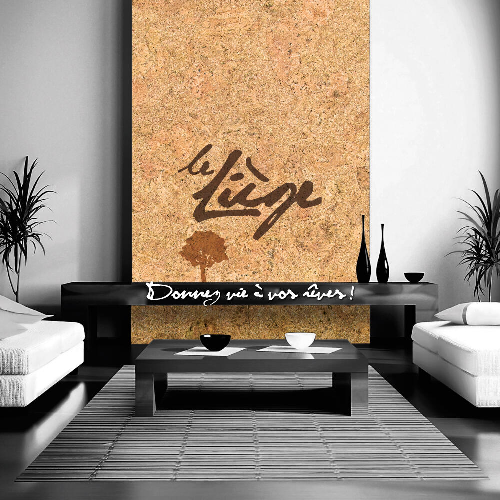 Lot de 11 dalles de liège murales, naturel, l.30 x L.30 cm - 2