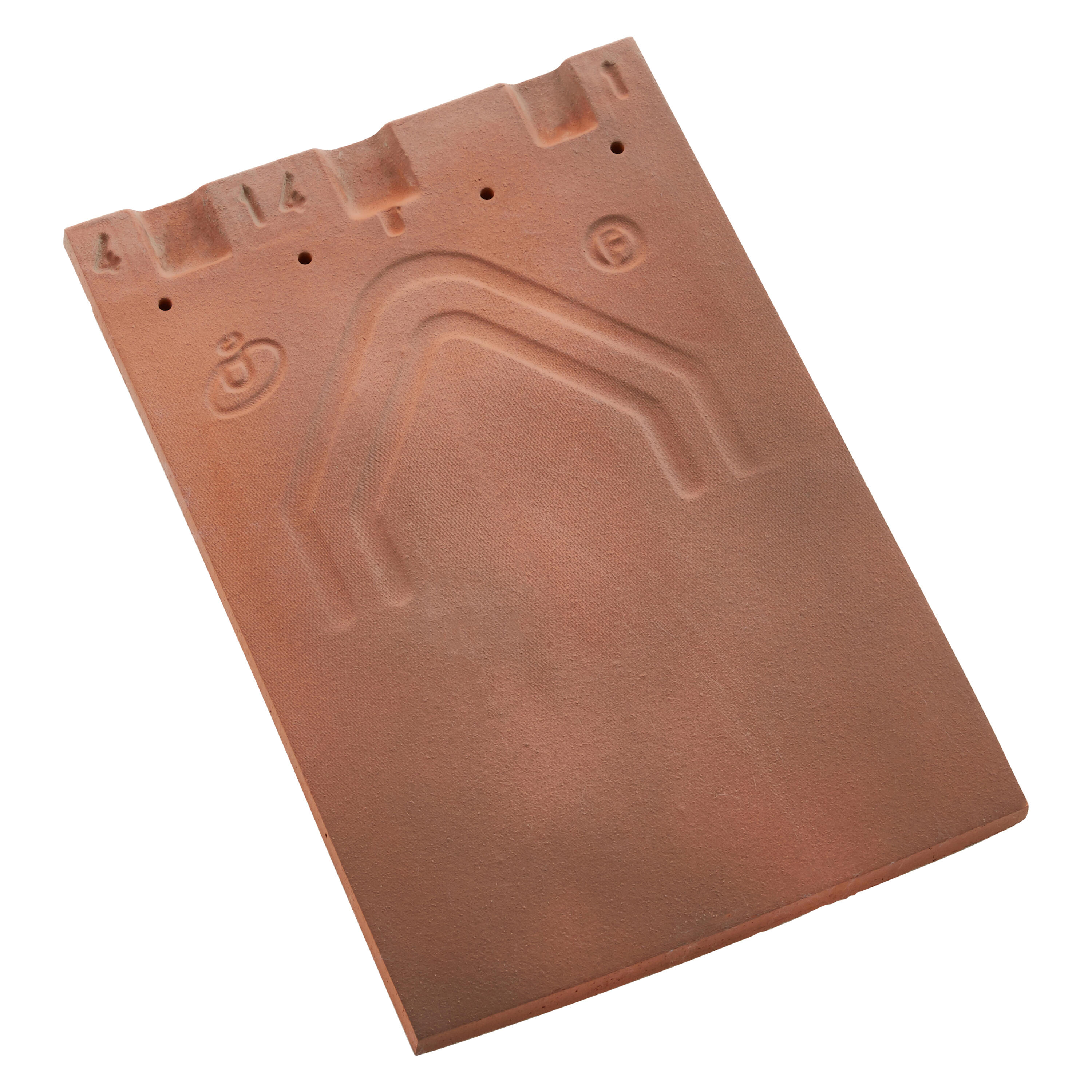 Tuile plate 20x30 flammee rustique 510 IMERYS - 2