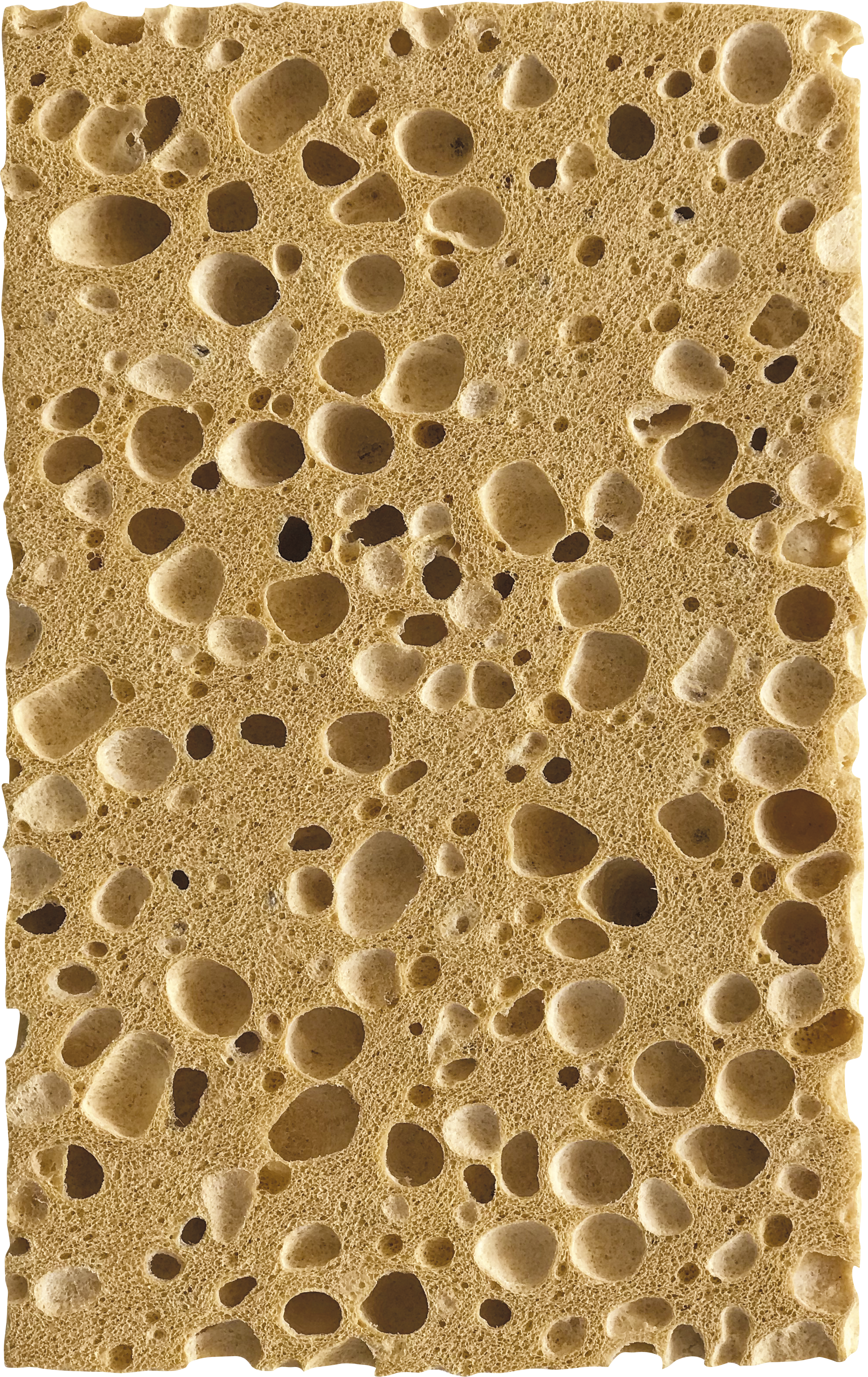 Éponge artificielle Gros travaux, SPONTEX EXPERT - 3