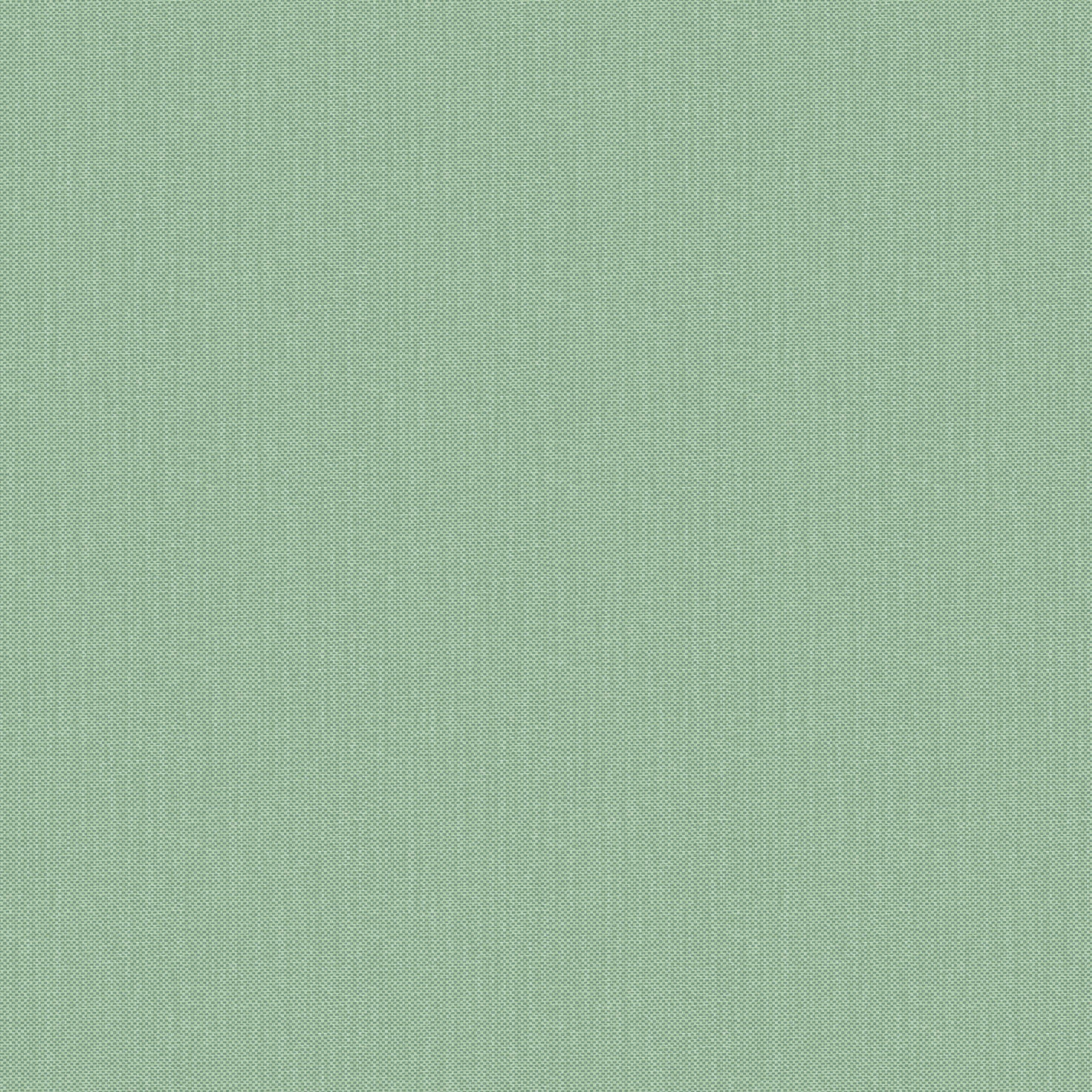 Papier Peint Vert Uni