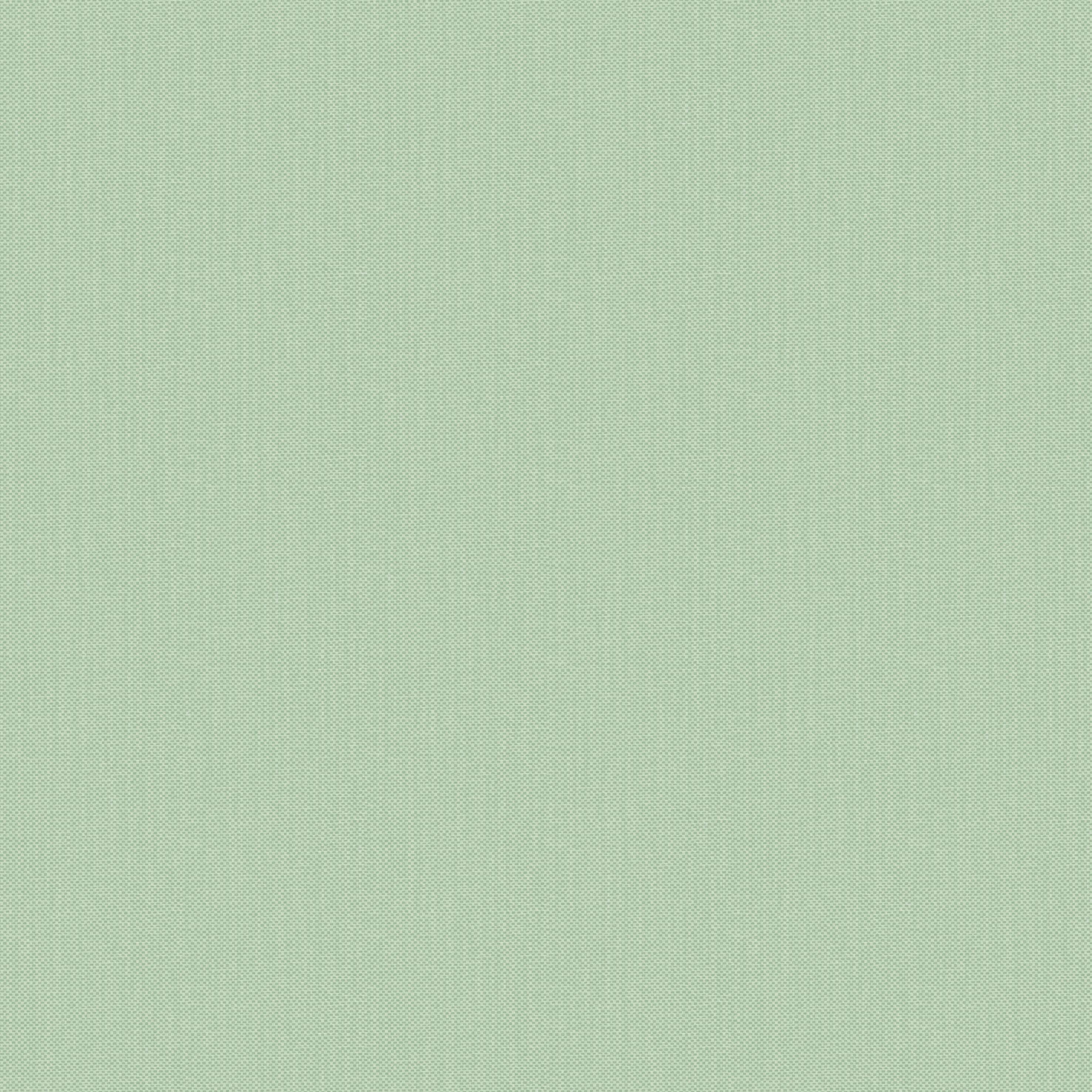 Papier Peint Vert Amande