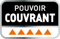 Peinture mur, plafond blanc mat RIPOLIN Tachés et salis 2.5L - 4