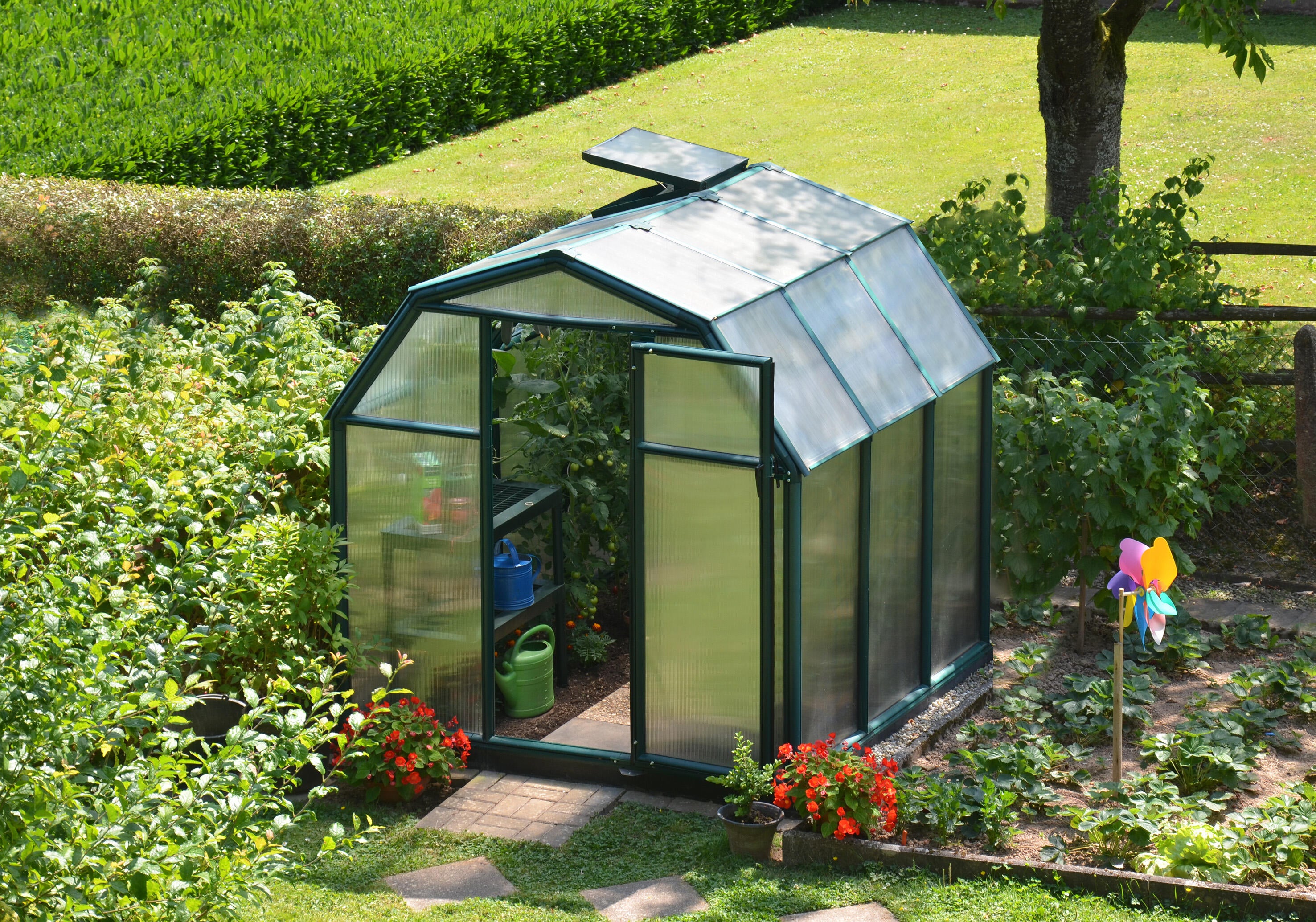 Serre fixe en polycarbonate double parois Ecogrow, 4 m² CANOPIA BY PALRAM - 2