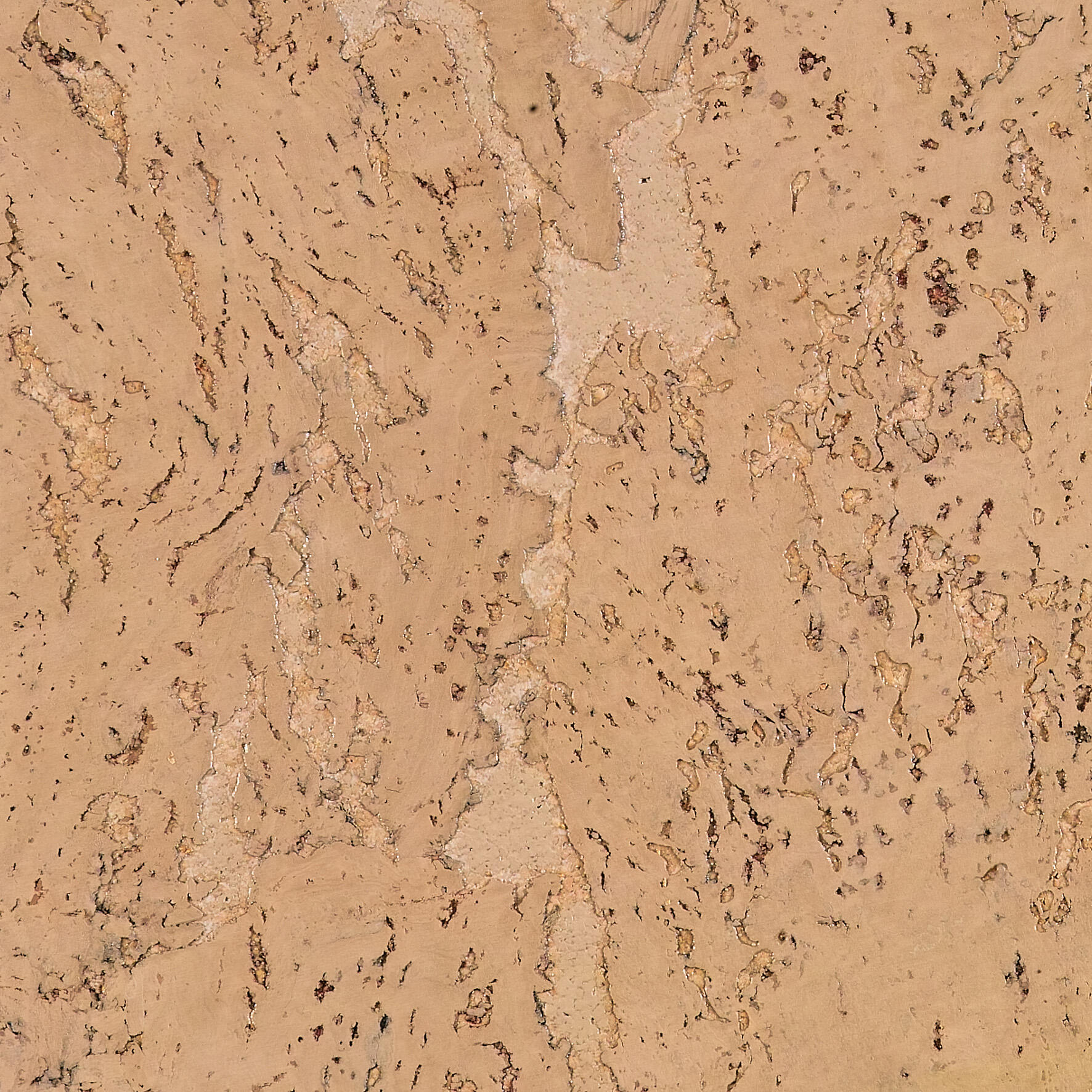 Lot de 5 dalles de liège murales, brun clair, l.60 x L.30 cm - 3