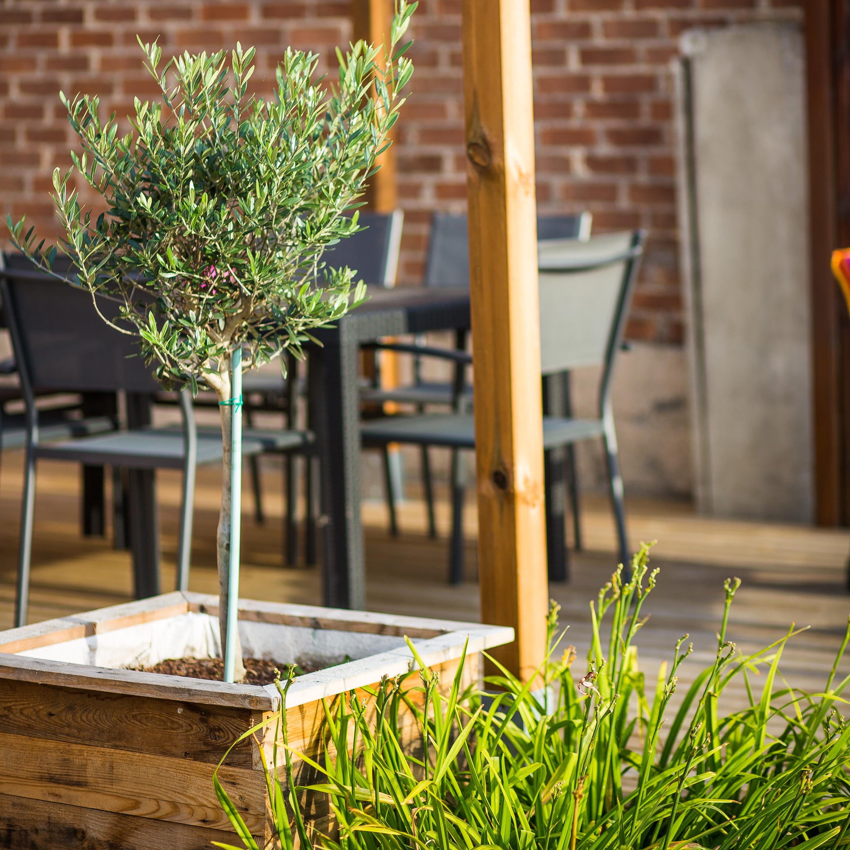 Deck de madeira PINHO 19MM 240X9,5CM - 18