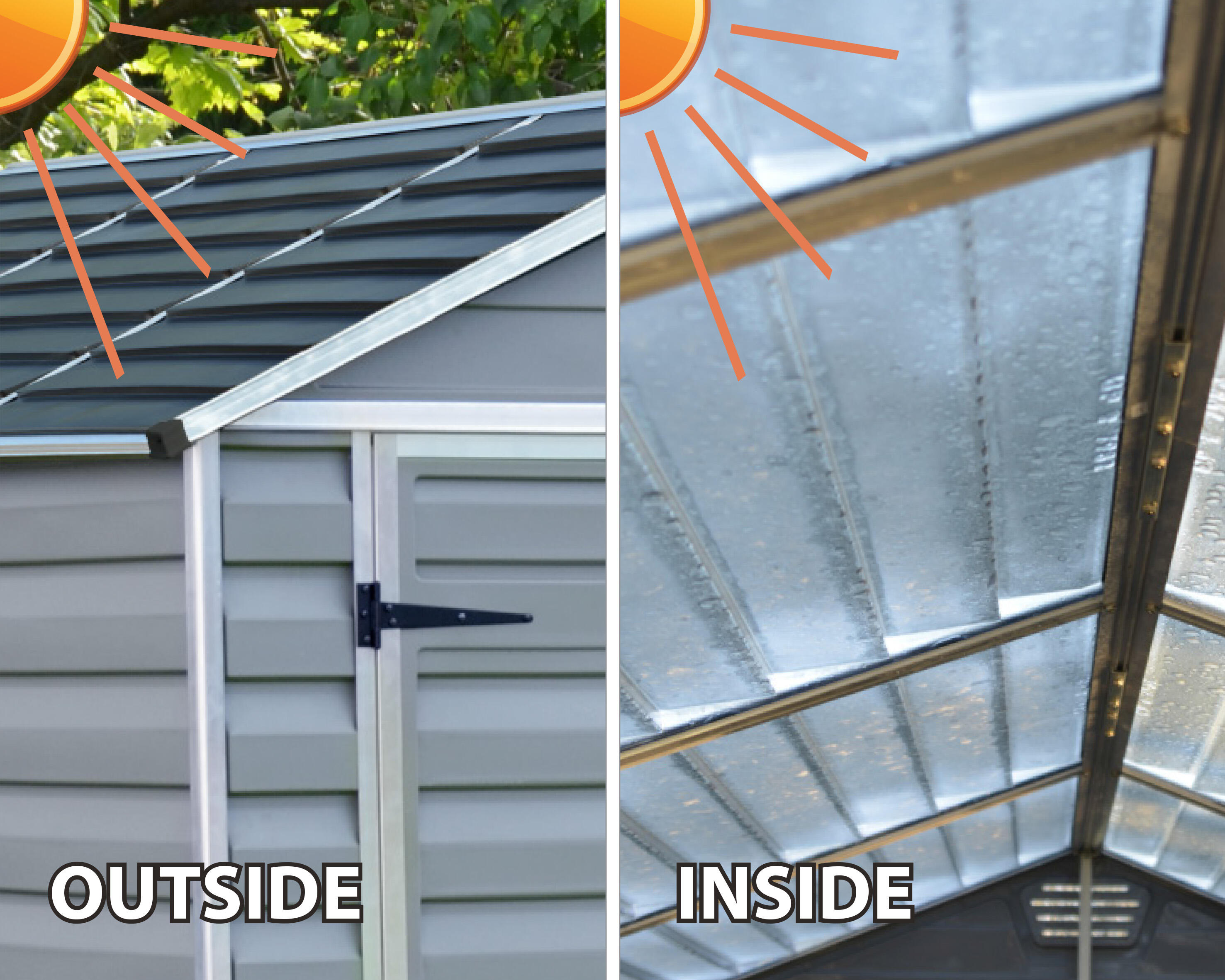 Abri de jardin polycarbonate CANOPIA BY PALRAM 704247, 5.6 m² - 9