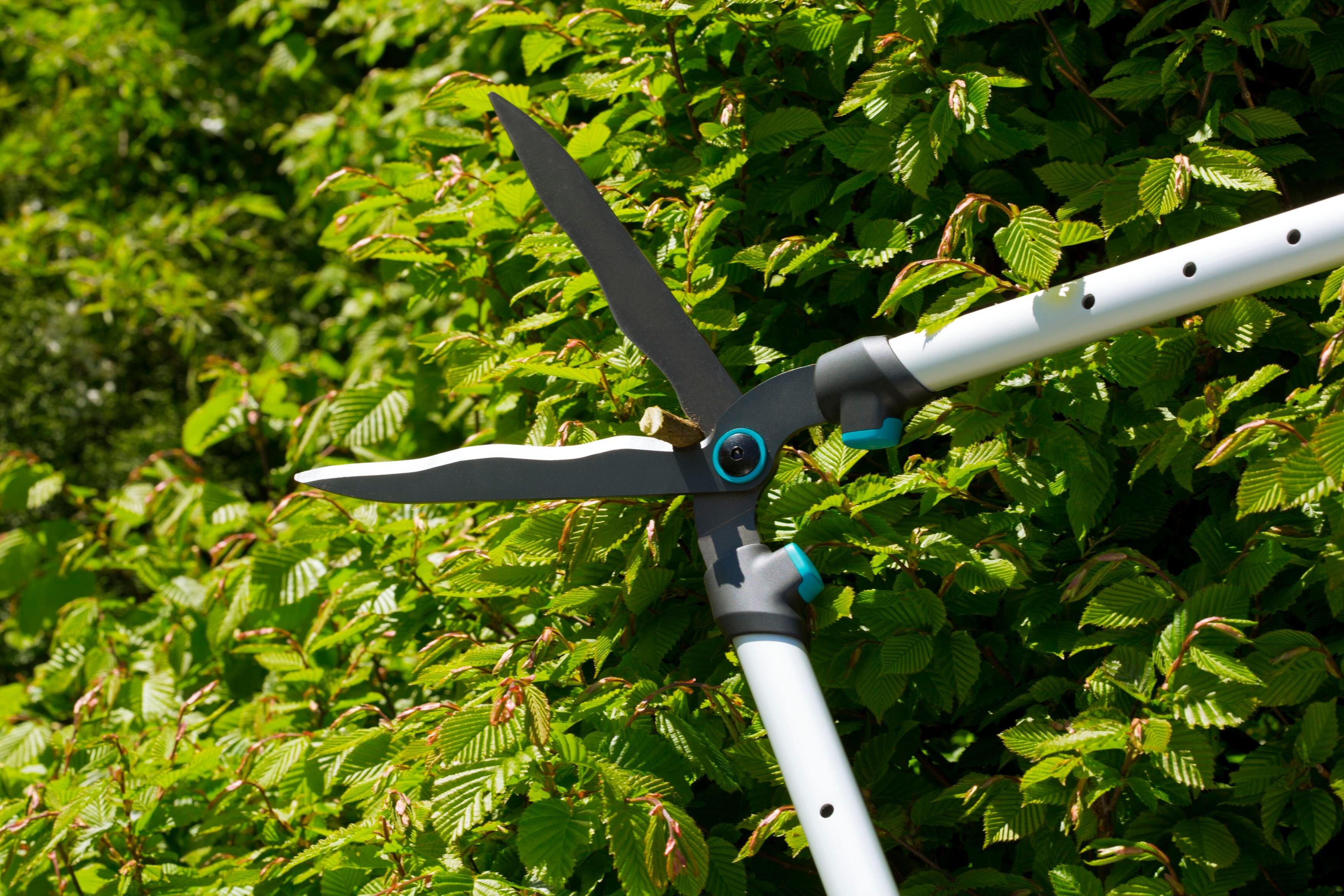 Cesoia tagliasiepi con lama curva da 23 cm in acciaio GARDENA TeleCut, per rami da 20 mm - 5