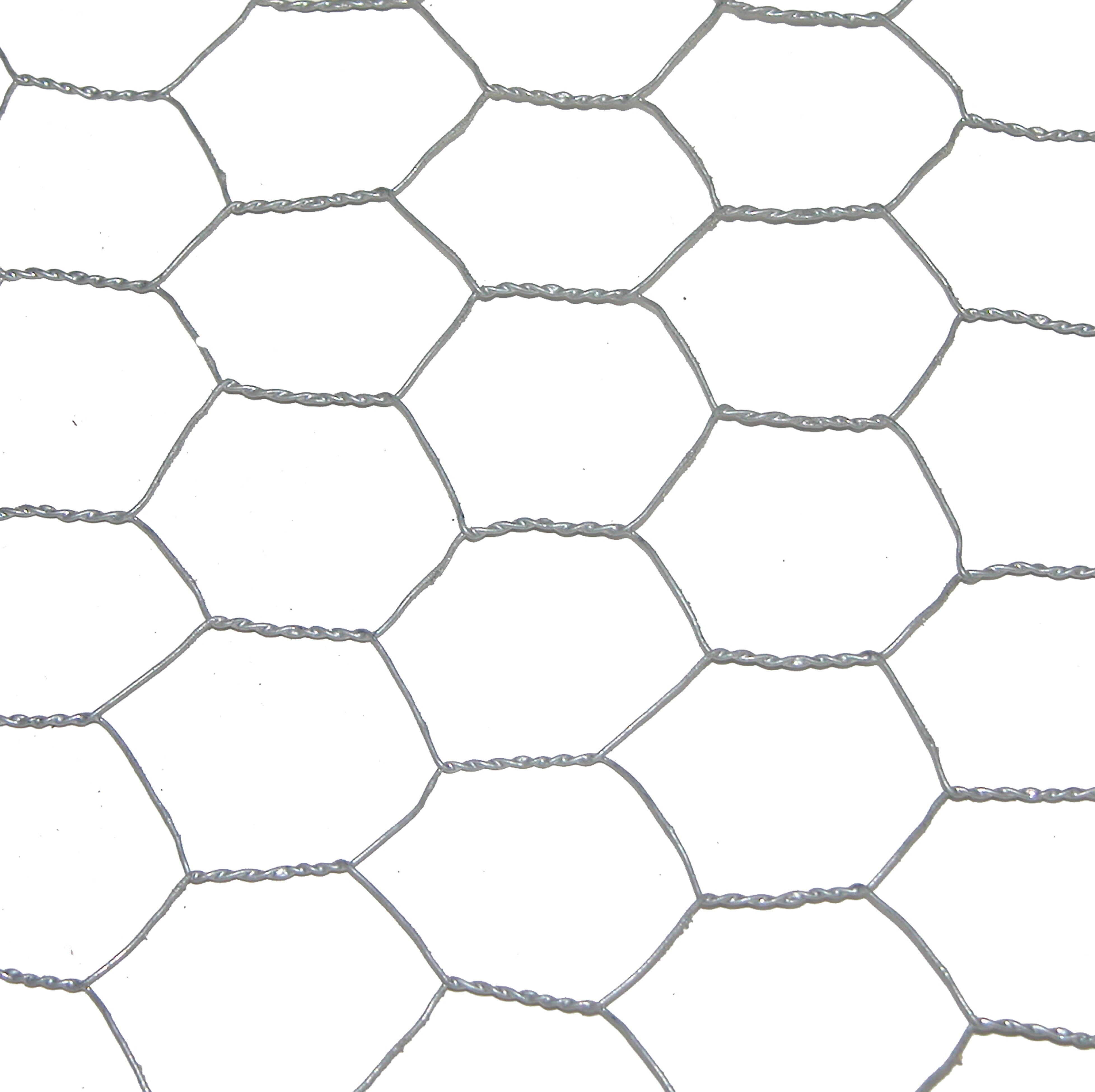 Grillage pour animaux triple torsion gris, H.0.5 x L.10 m, maille H.25 x l.25 mm - 2