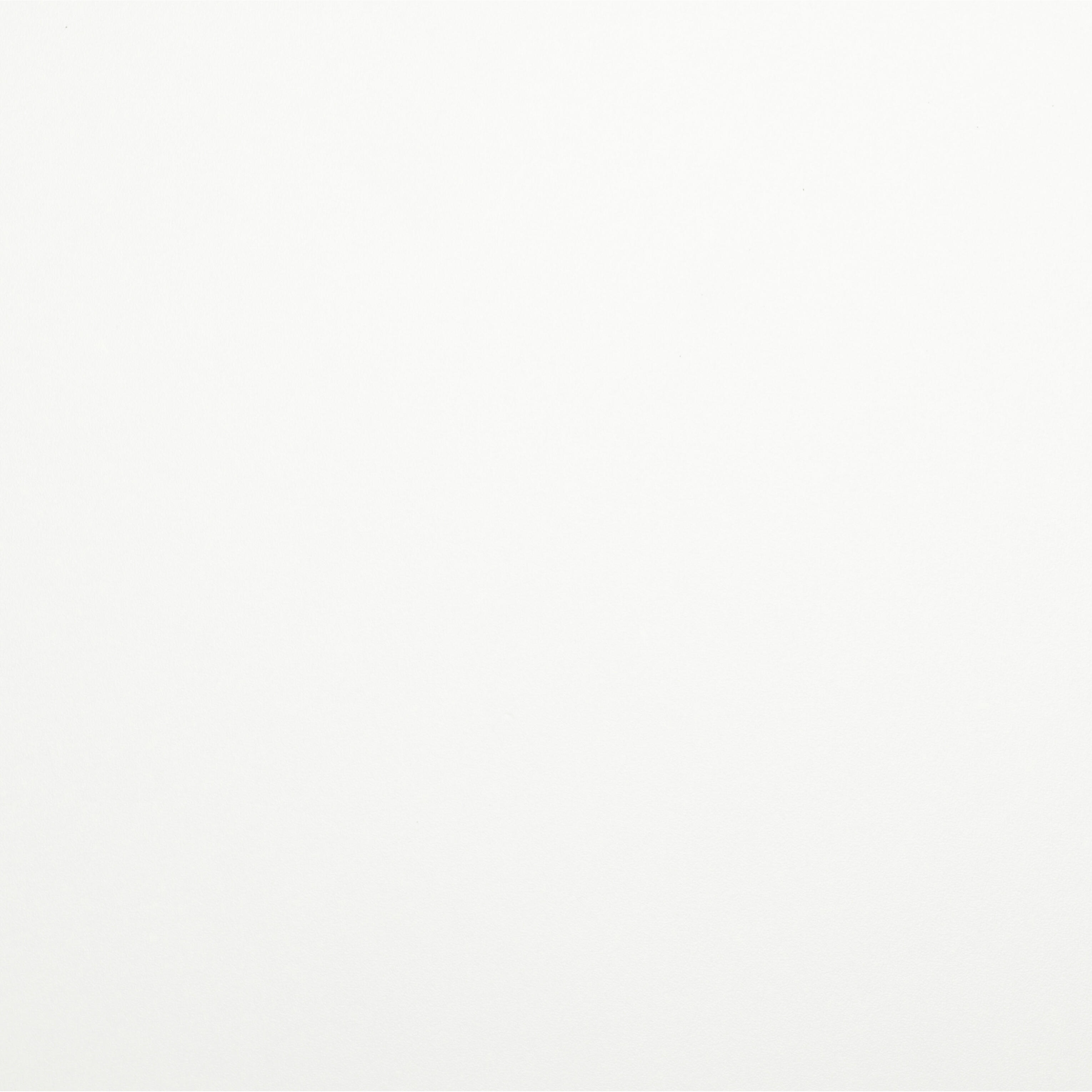 Panneau aggloméré blanc, Ep.22 mm x L.250 x l.125 cm - 2