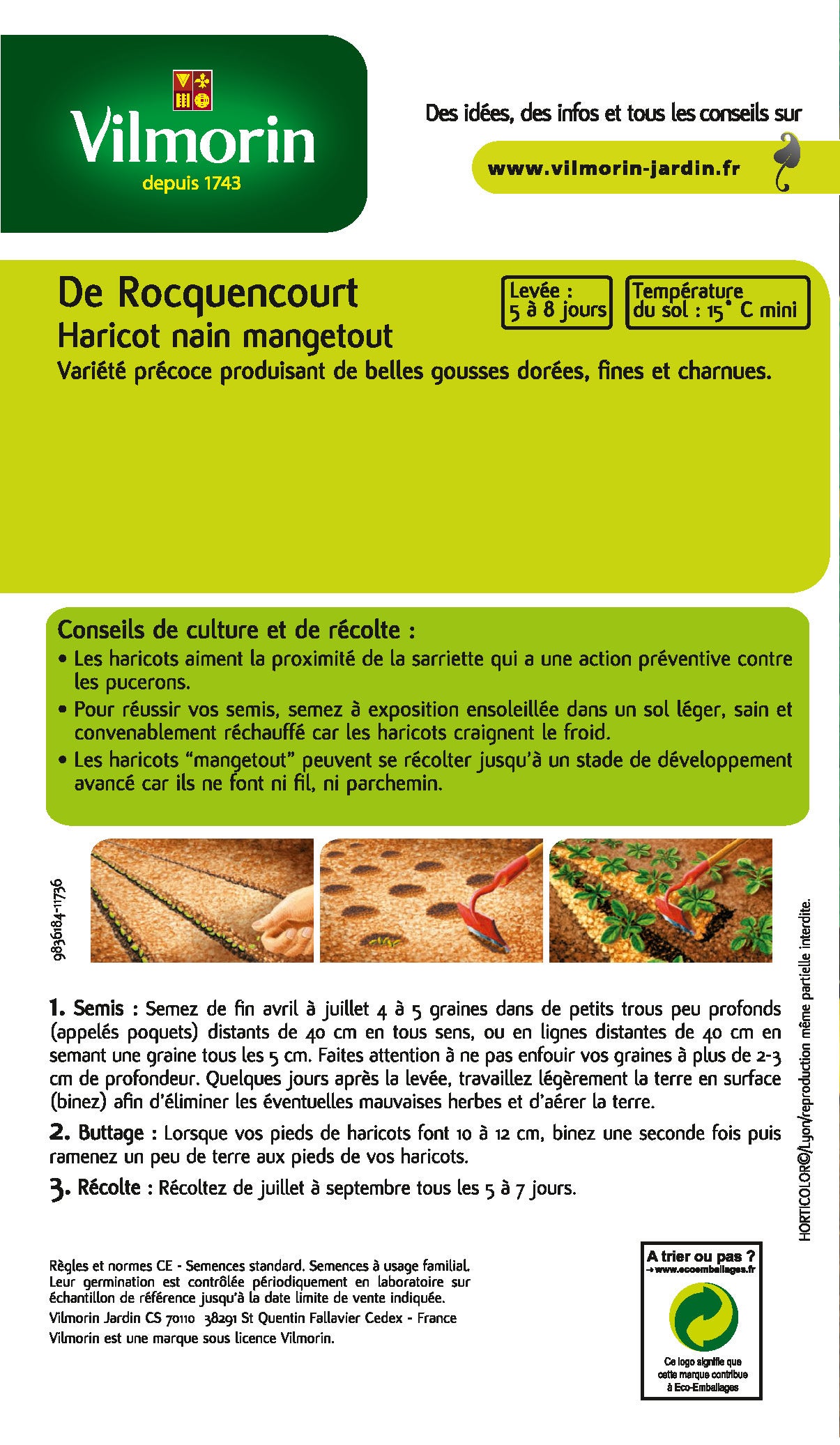 Graines de haricot VILMORIN 250 g - 2
