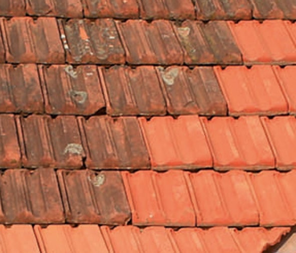 Traitement anti-dépots verts façade OXYTOL, 6 L Le glouton - 2