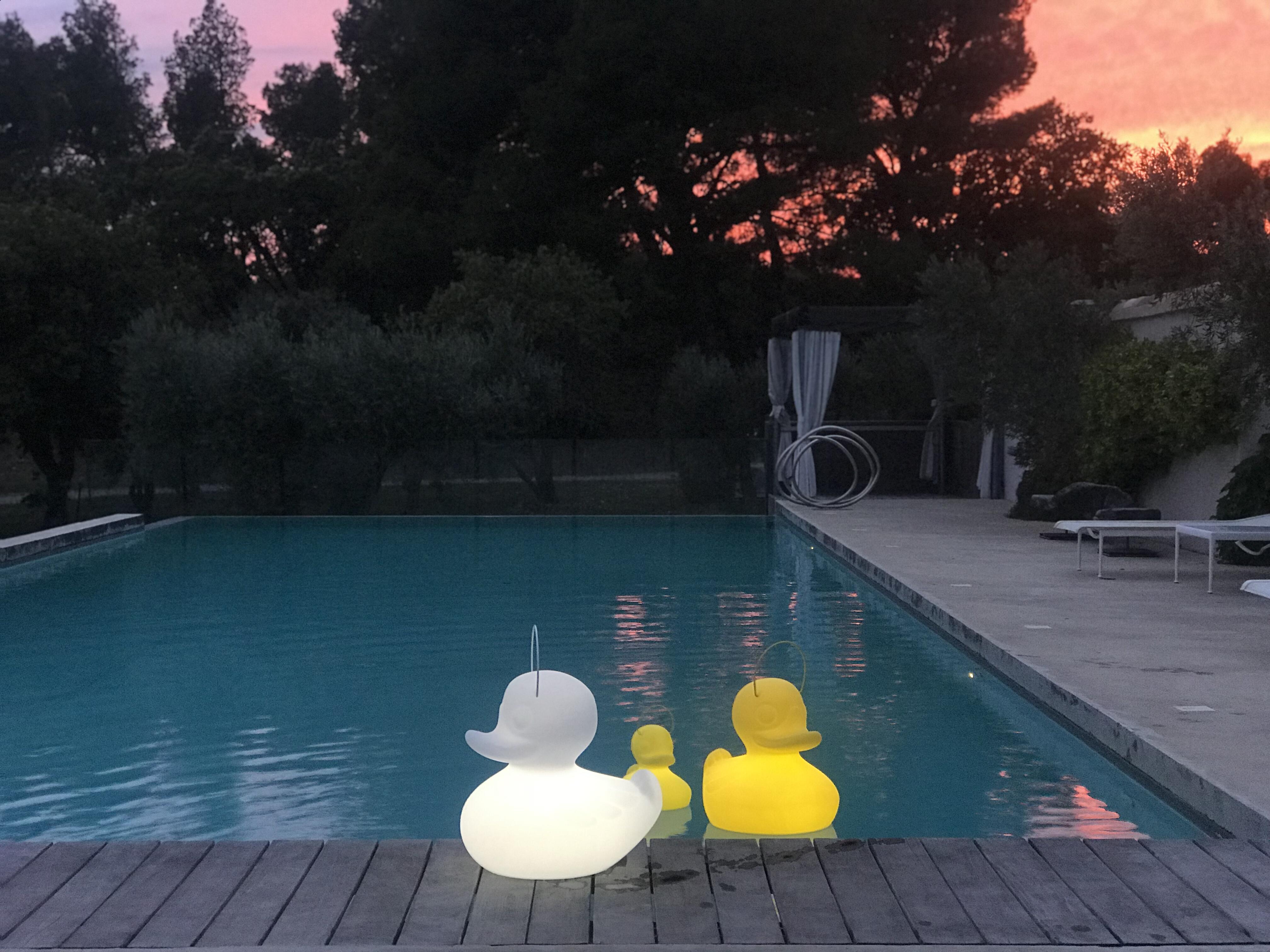 Lampe extérieure LED Duck h.30 cm 290 Lumen blanc GOOD NIGHT LIGHT - 6