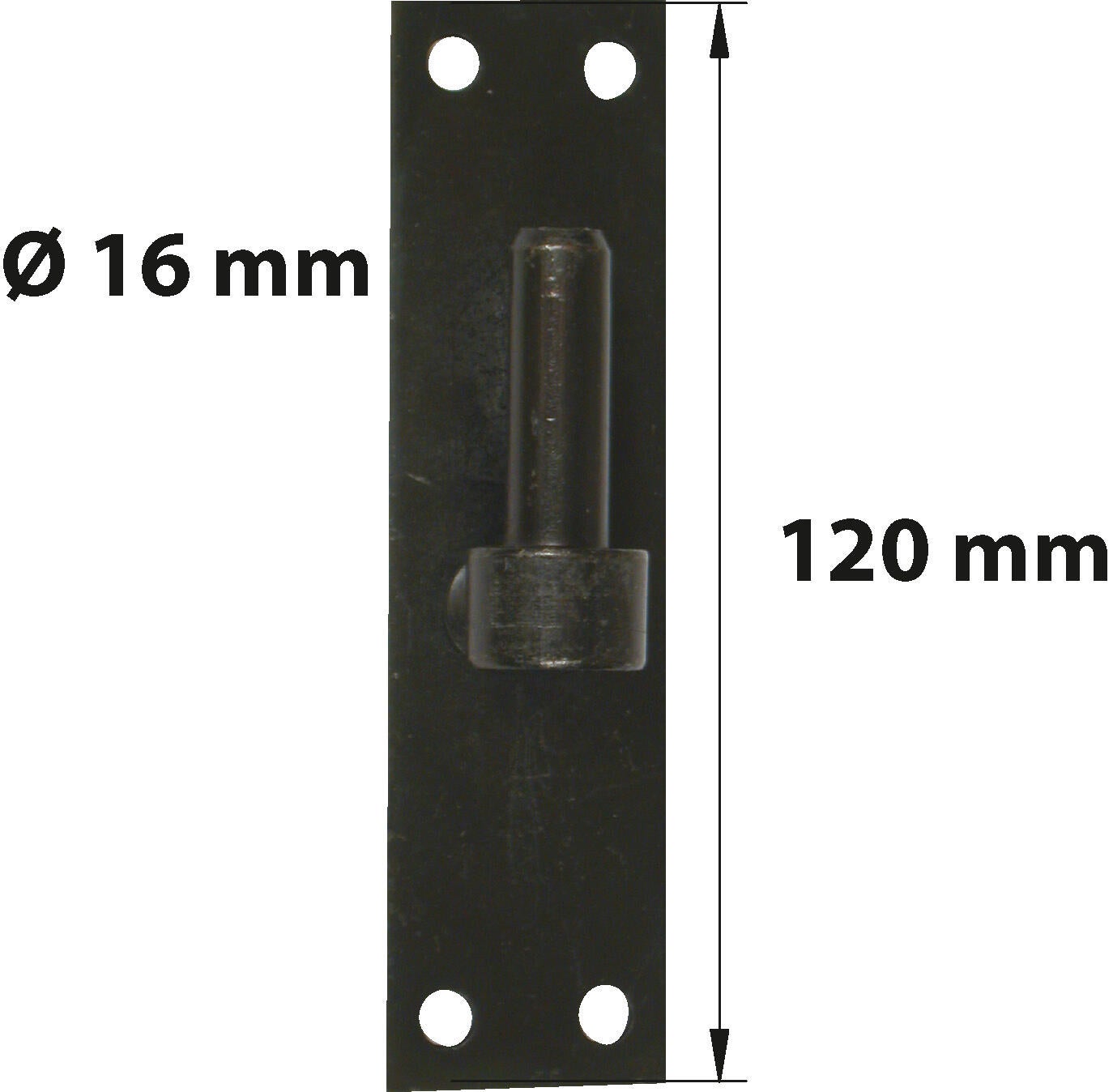 Gond sur platine en acier noir prépeint, H.120 x Diam.16 mm AFBAT - 3