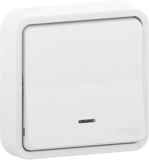 Poussoir lumineux étanche complet Mureva Styl, SCHNEIDER ELECTRIC, blanc