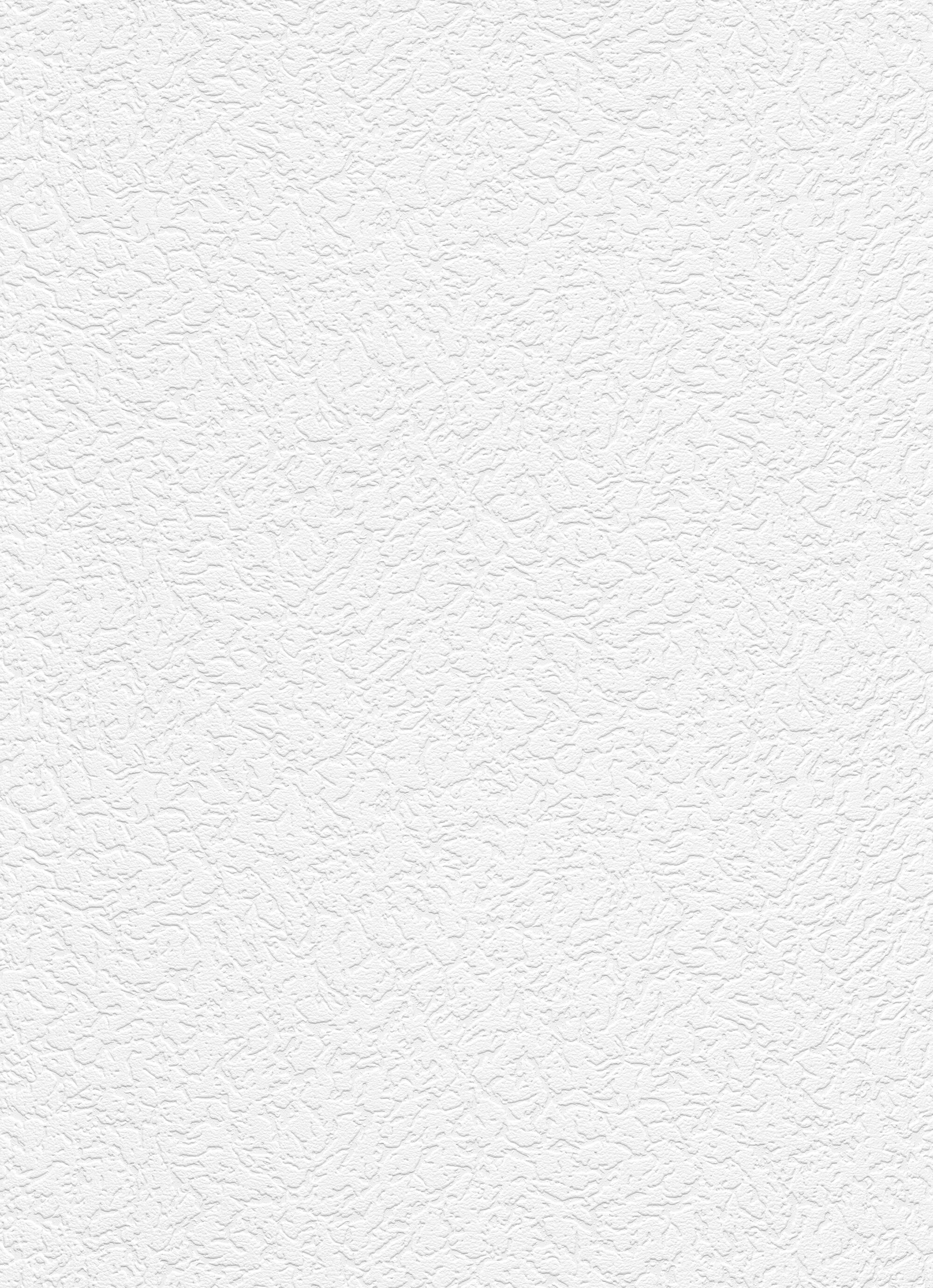 Revêtement de rénovation  à peindre 180 g/m² Crépi, l.0.53 x L.10.05 m - 2