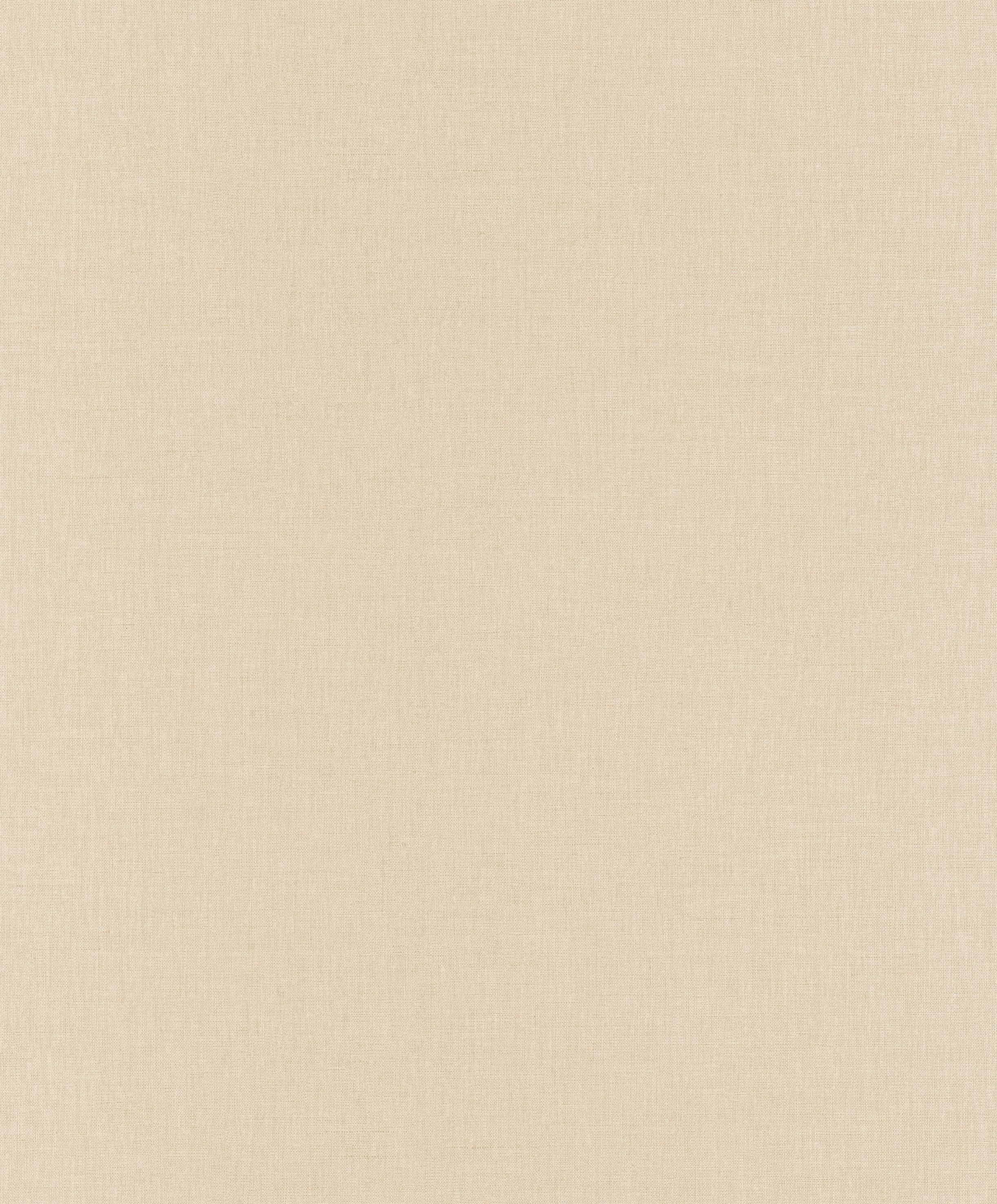 Papier peint intissé color box 3 uni beige moyen | Leroy Merlin