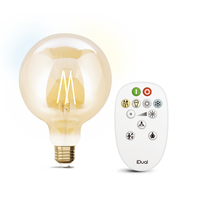 Ampoule led connectée, globe 125mm E27, 806lm = 60W, variation de blancs, JEDI