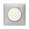Plaque simple Dooxie, LEGRAND, aluminium