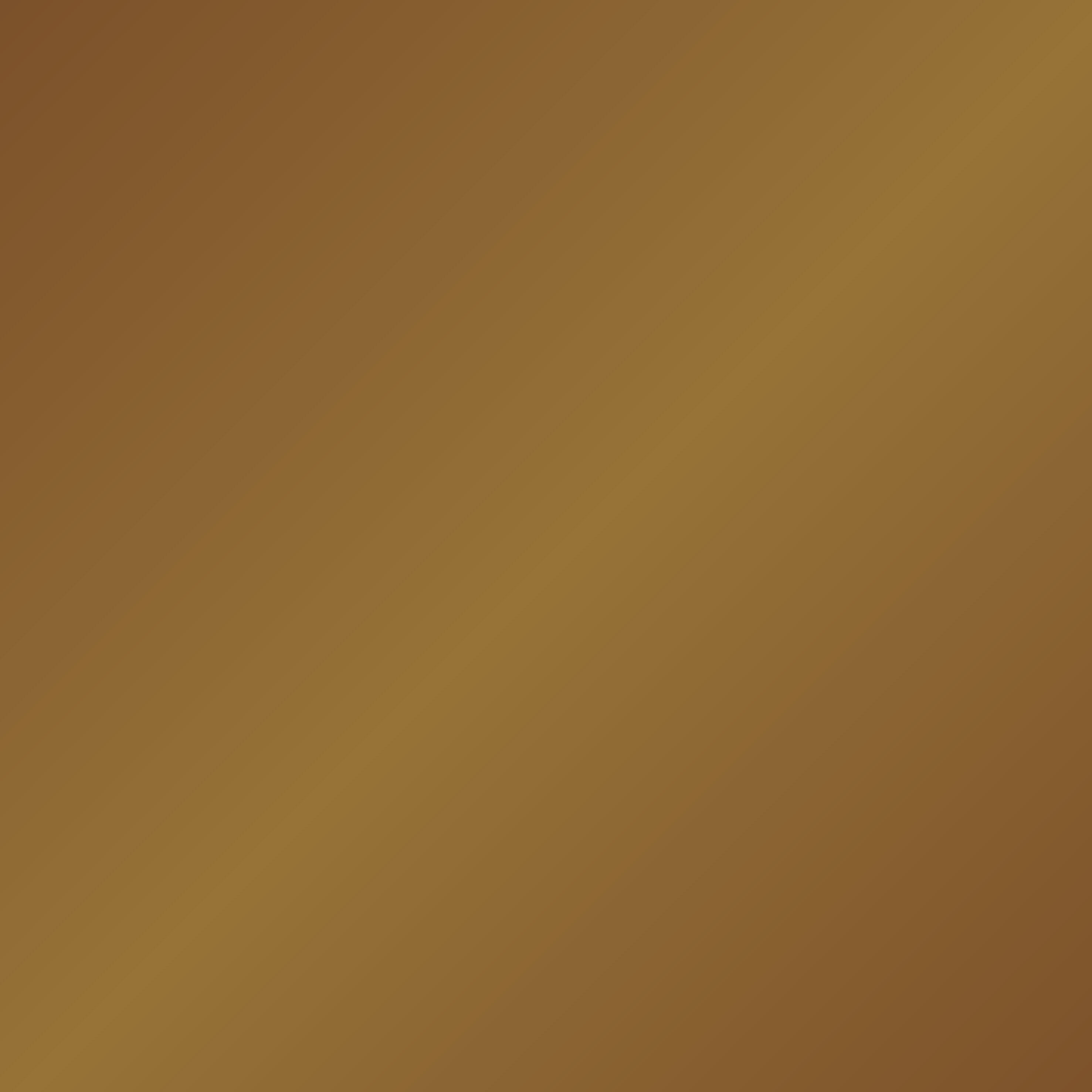 Peinture extérieure fer, bois Multisupports OXI bronze brillant  0.125l - 2