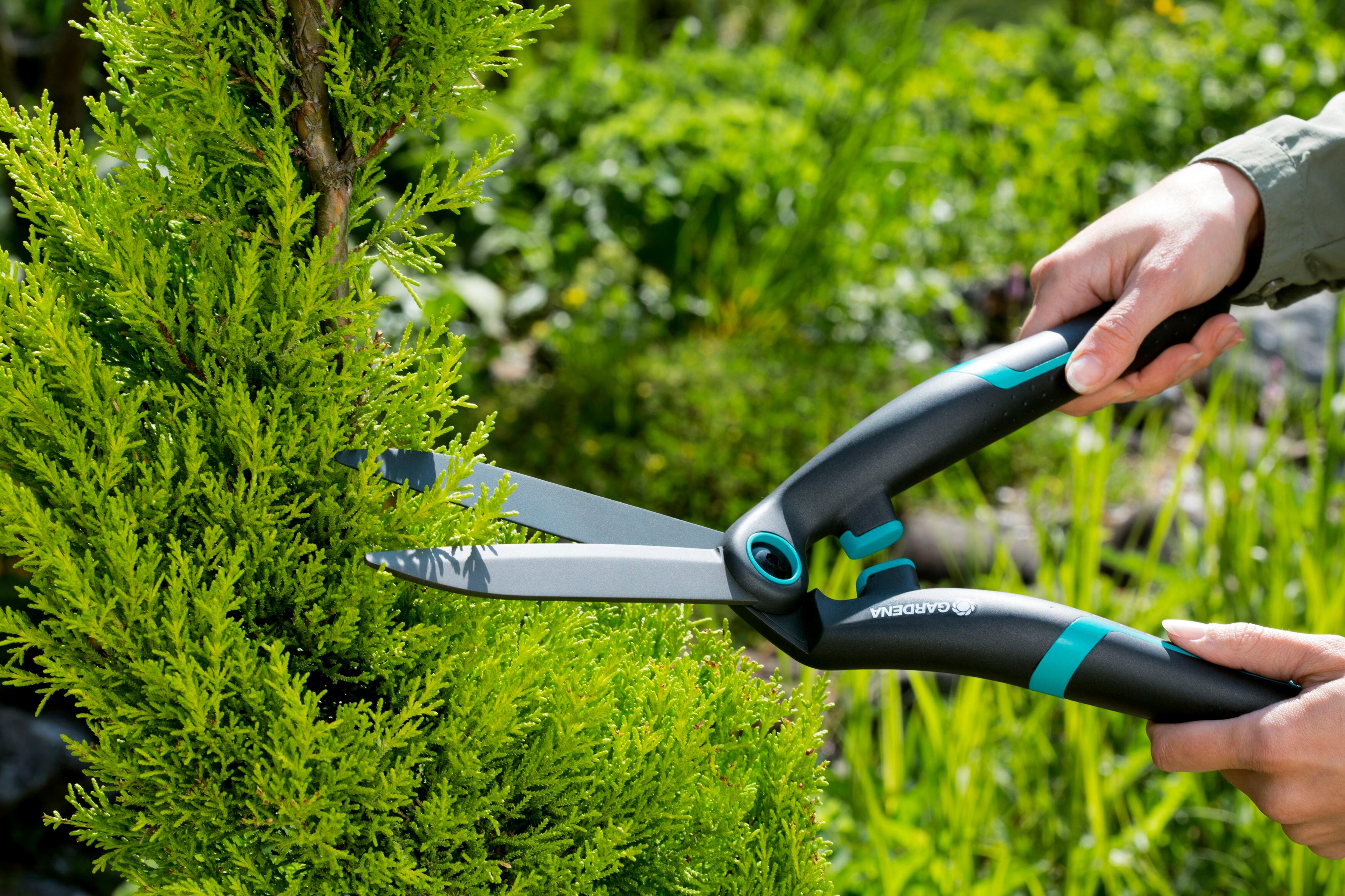Cisaille à haie acier revêtu antiadhérent PrecisionCut 12302-20 GARDENA - 7
