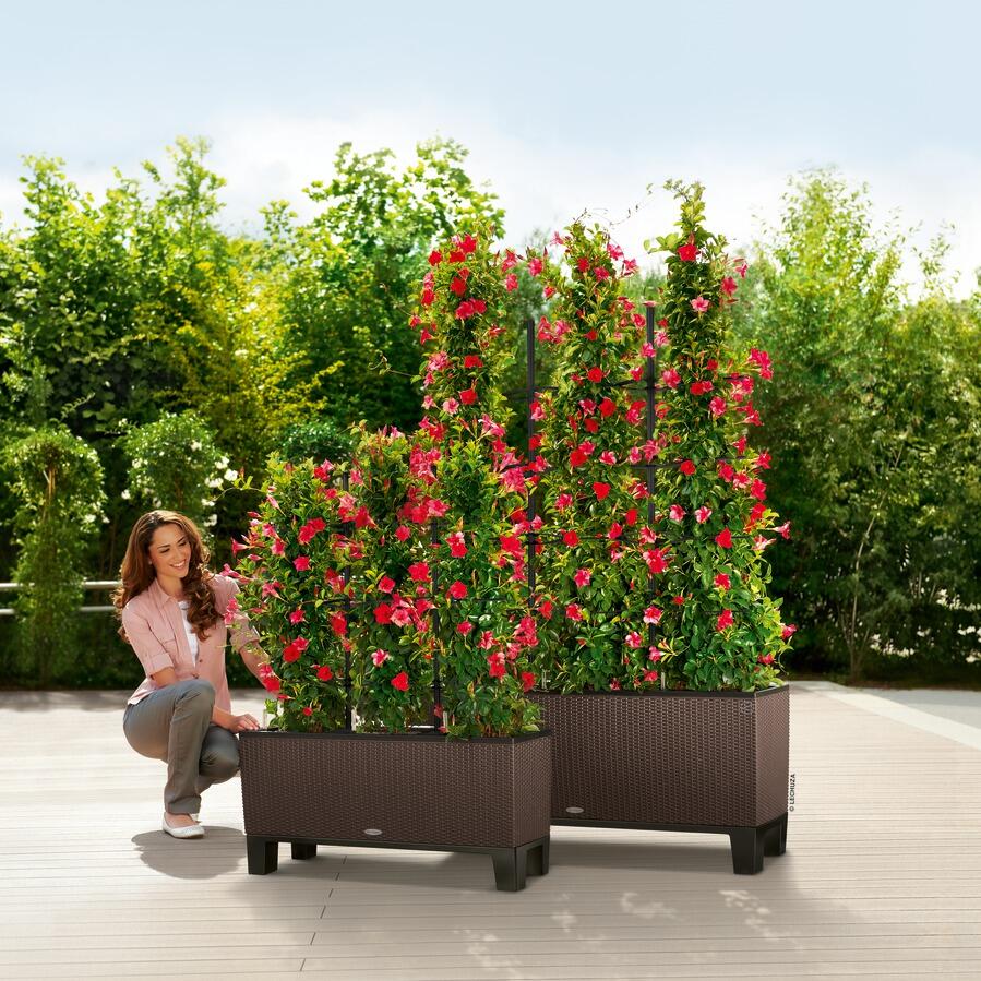 Vaso Per Fiori Rotondo In Plastica 32 Cm - Marrone Terracotta, Con Fori Di Drenaggio, Resistente - 3