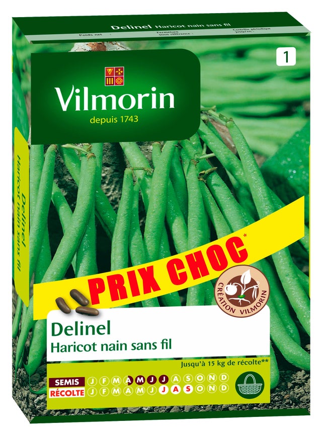 Graines de haricot VILMORIN 140 g