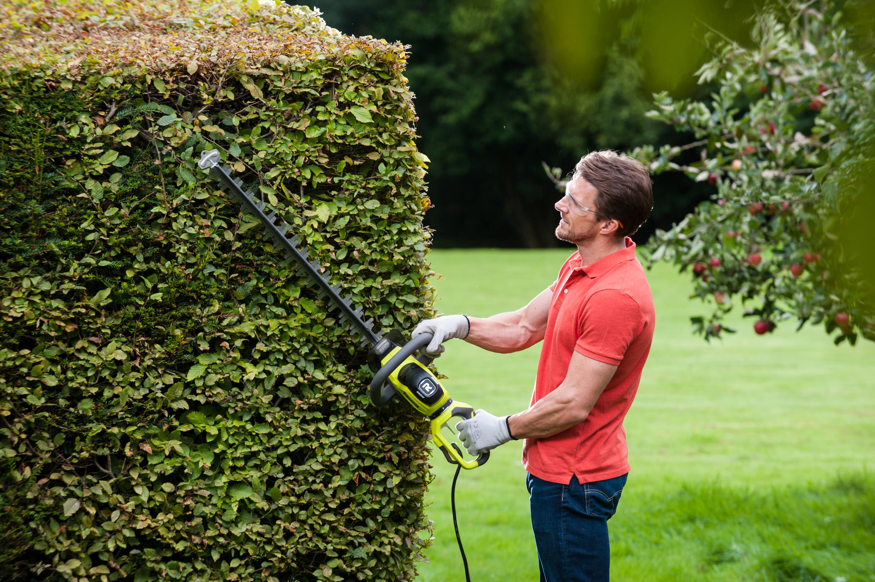 Taille-haie électrique RYOBI Rht6160rs, 600W L.60cm - 3