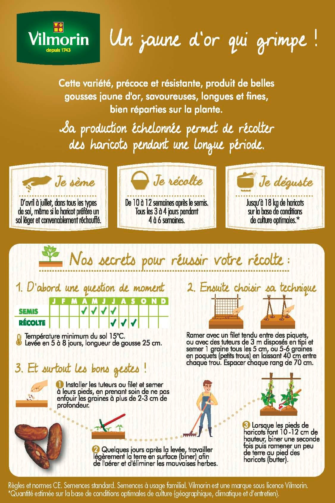 Graine potagère haricot beurre monte gusto VILMORIN 43 g - 2