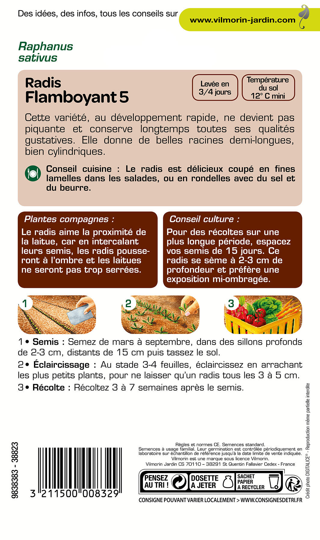 Graines de radis VILMORIN 10 g - 2