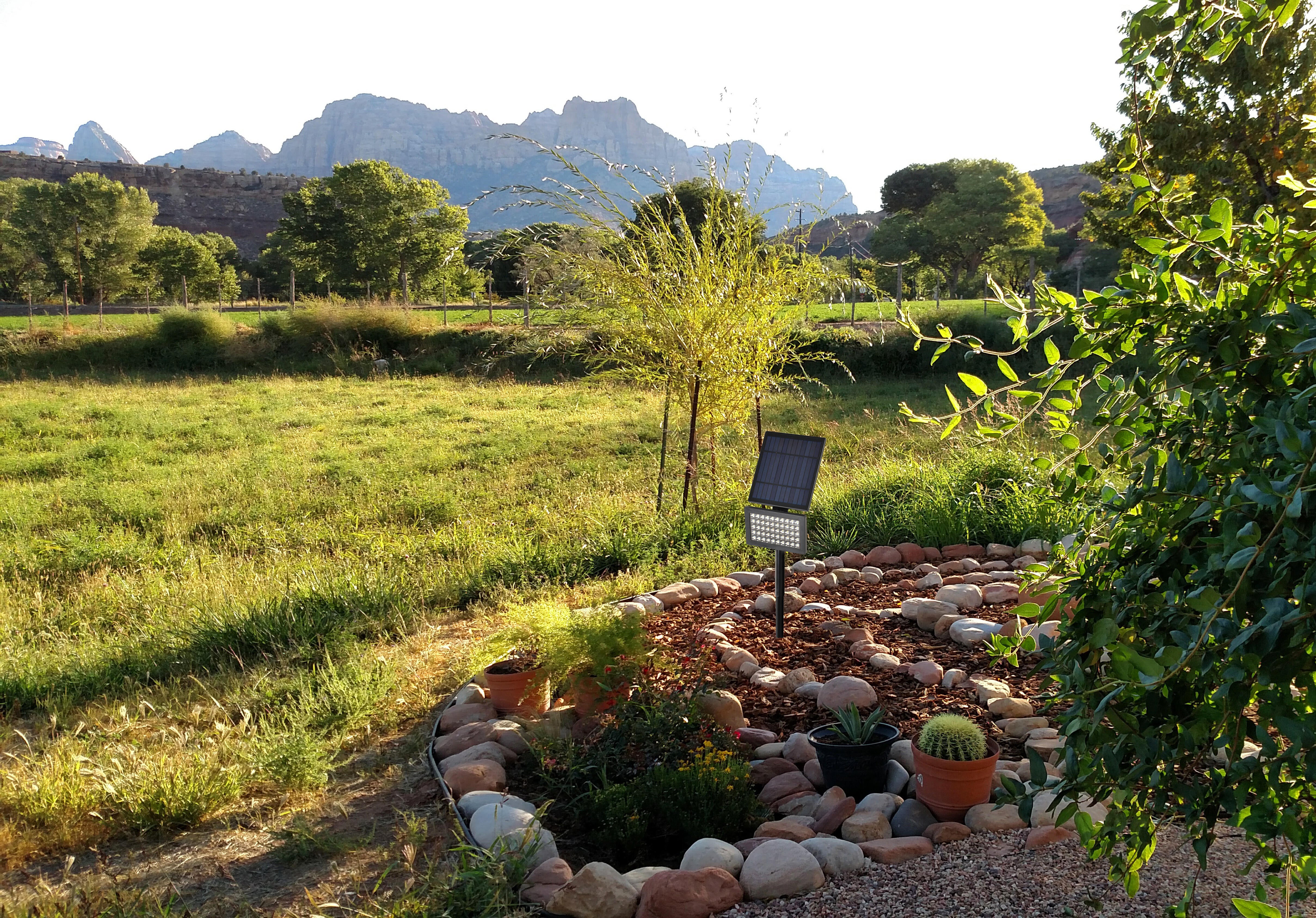 Projecteur solaire noir Solar, 500 lumens blanc chaud LITTLE GARDEN - 2