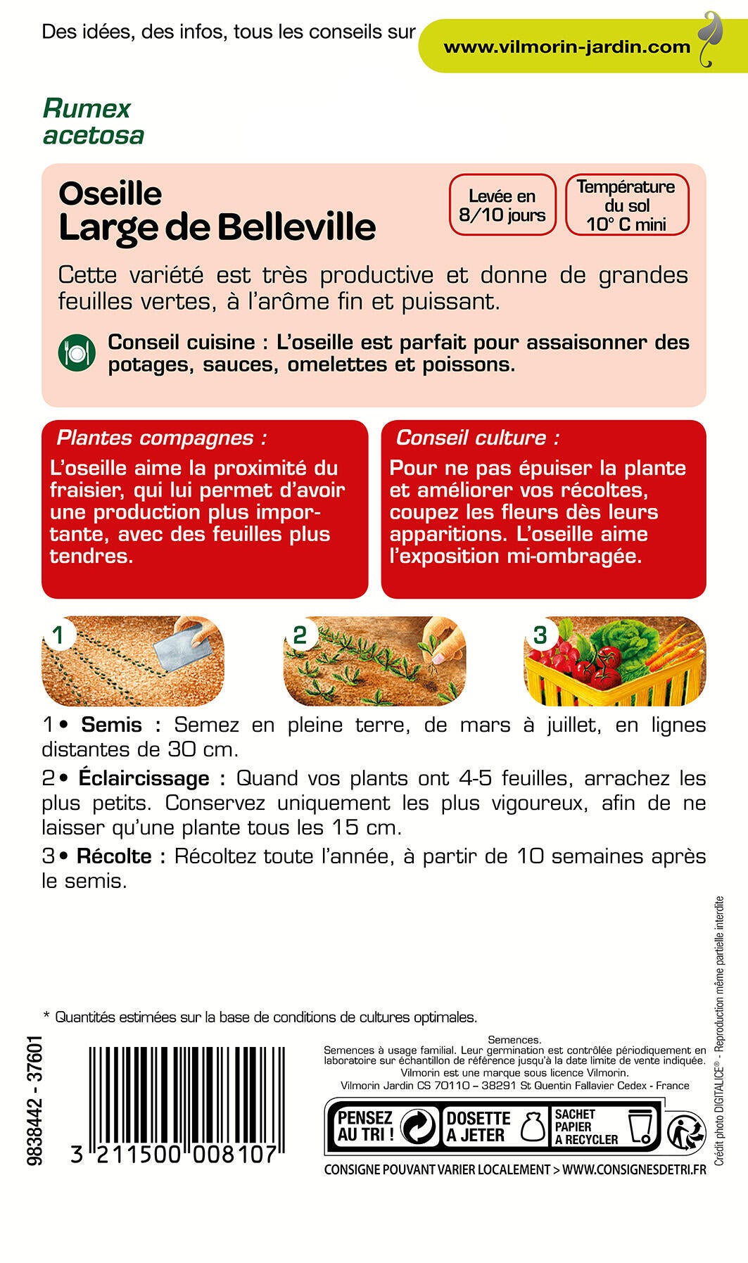 Graines de oseille VILMORIN 3 g - 2