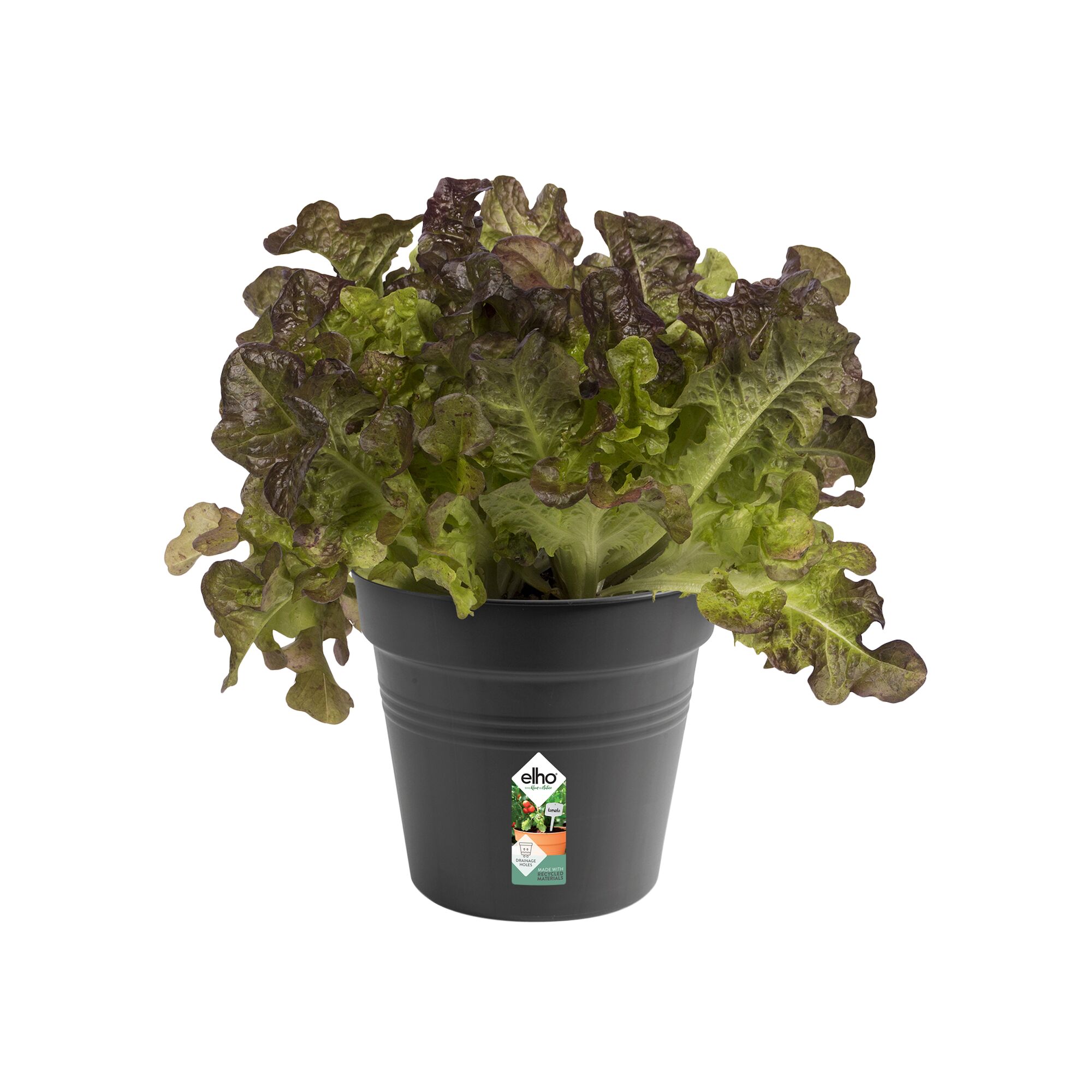 Pot plastique ELHO Diam.15 L.15 x l.15 x H.13.8 cm noir - 2