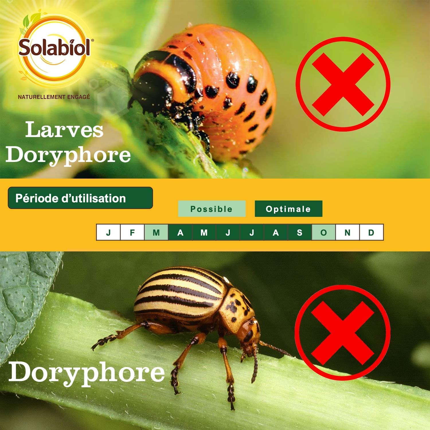 Traitement des insectes doryphores SOLABIOL , pourpotager et verger, 125 ml - 2