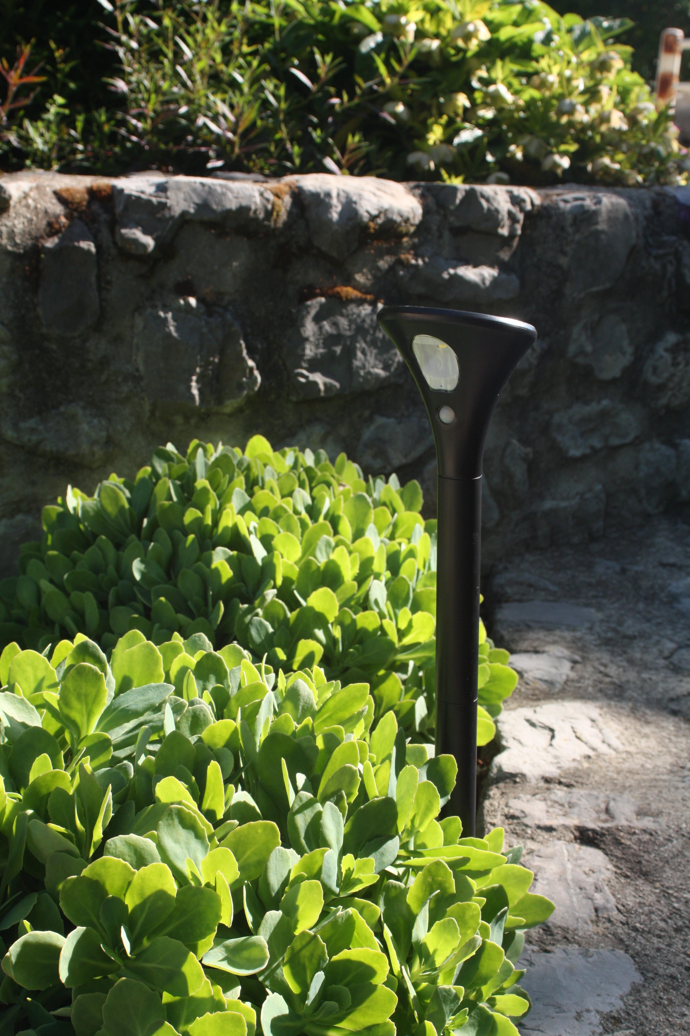 Balise solaire à détection Eclipse 75 lumens noir WATT & HOME - 2