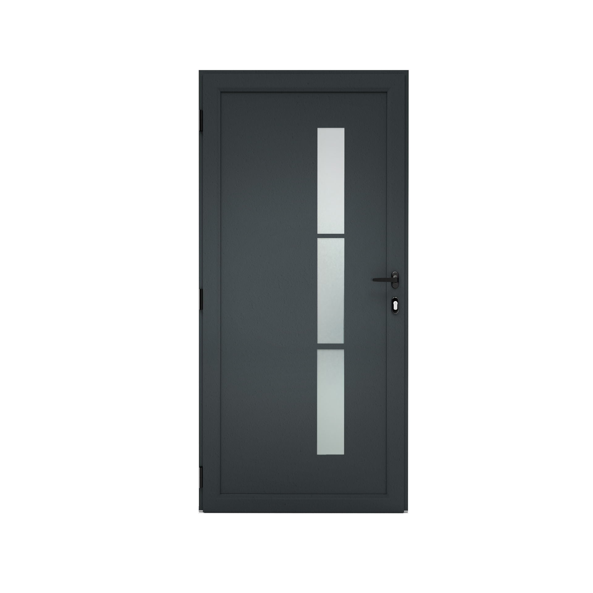 Porte service Alu TRYA H.200 x l.80 cm vitrée gris anthracite, poussant droit - 5