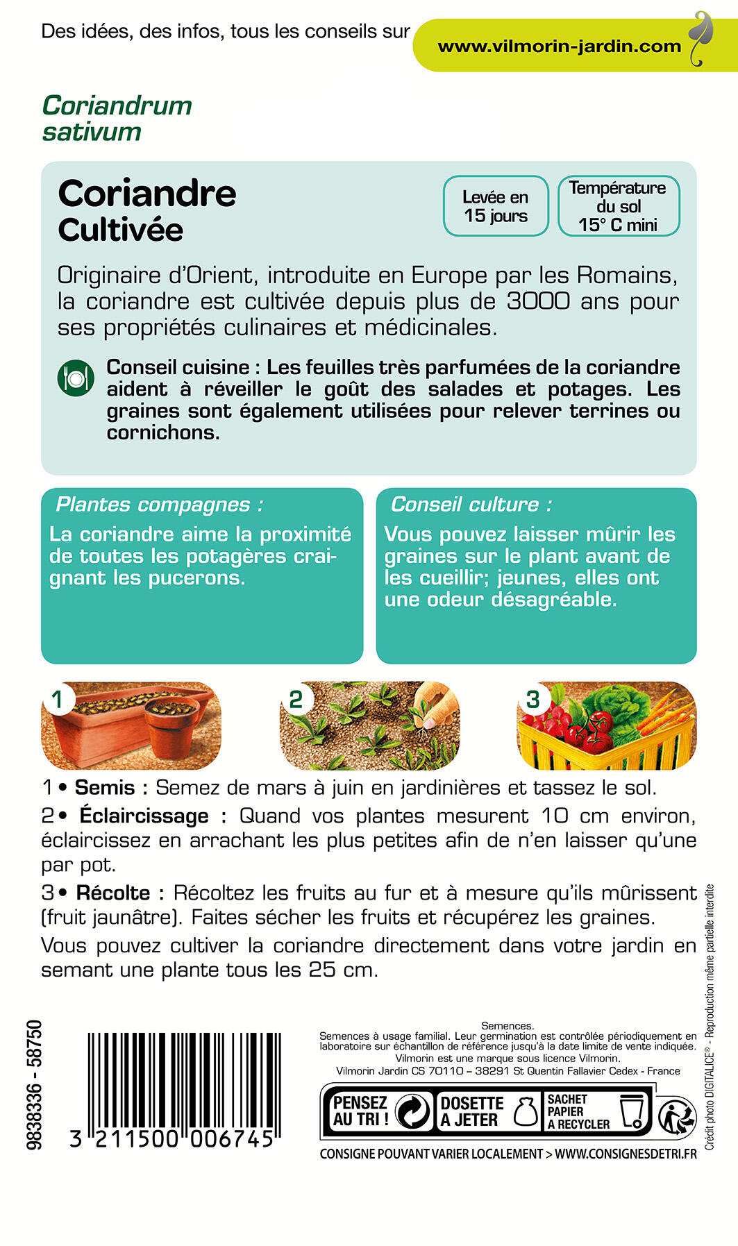 Graines de coriandre VILMORIN 4 g - 2