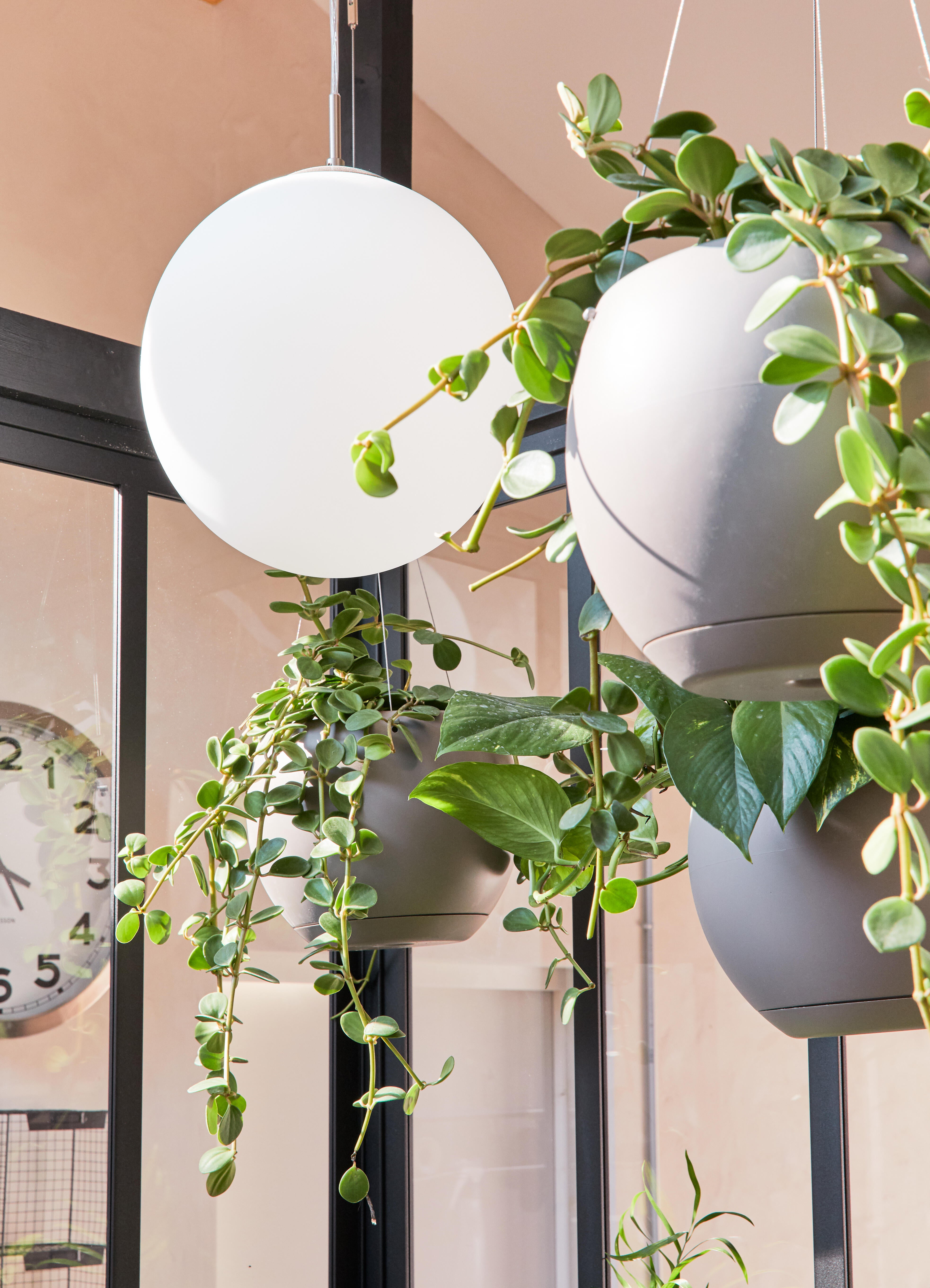 Suspension 1xE27 max 60W verre blanc EGLO Rondo D.30 cm - 6