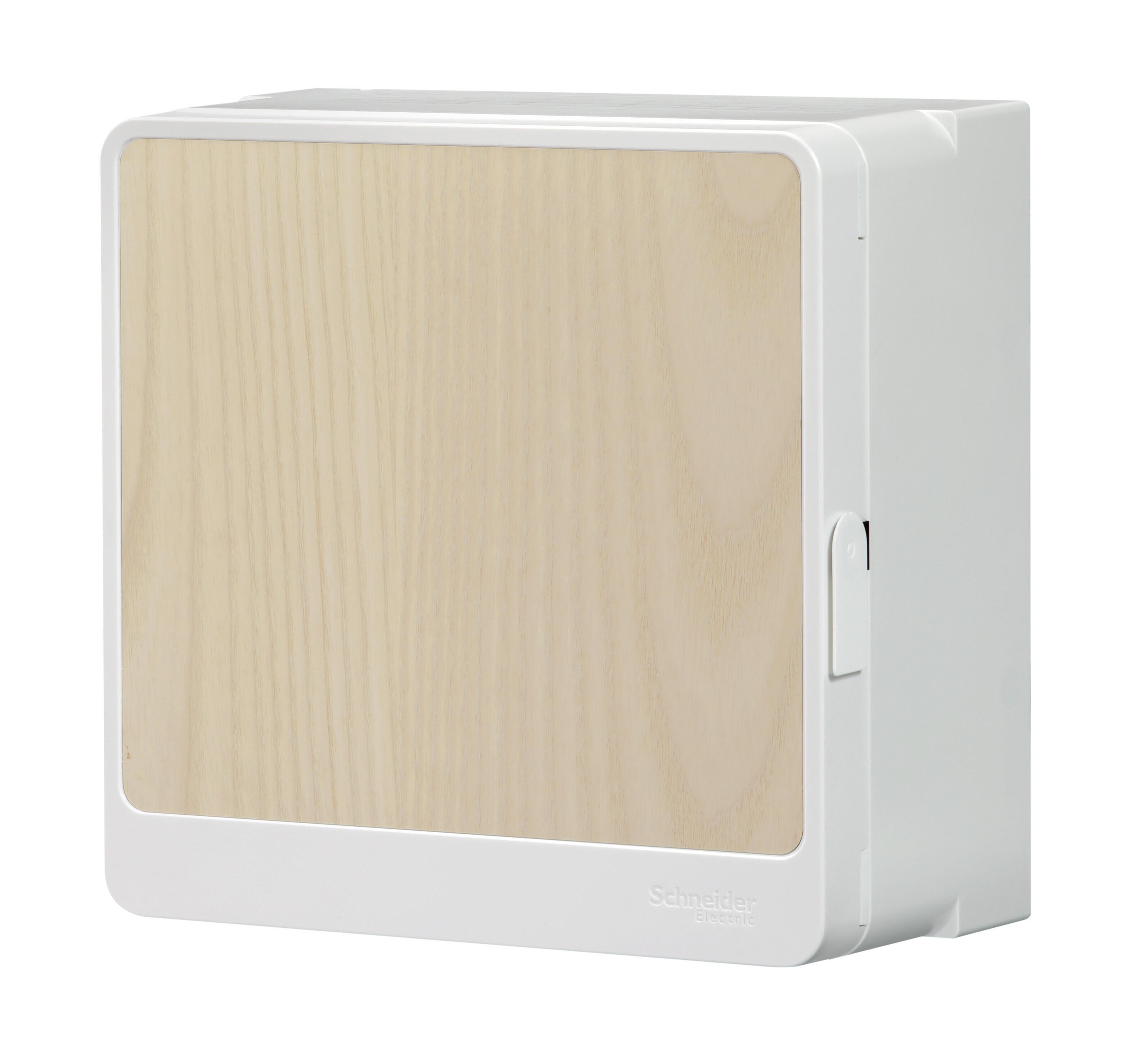 Porte pour tableau électrique Resi9 SCHNEIDER ELECTRIC 1 rangée 13 modules - 4