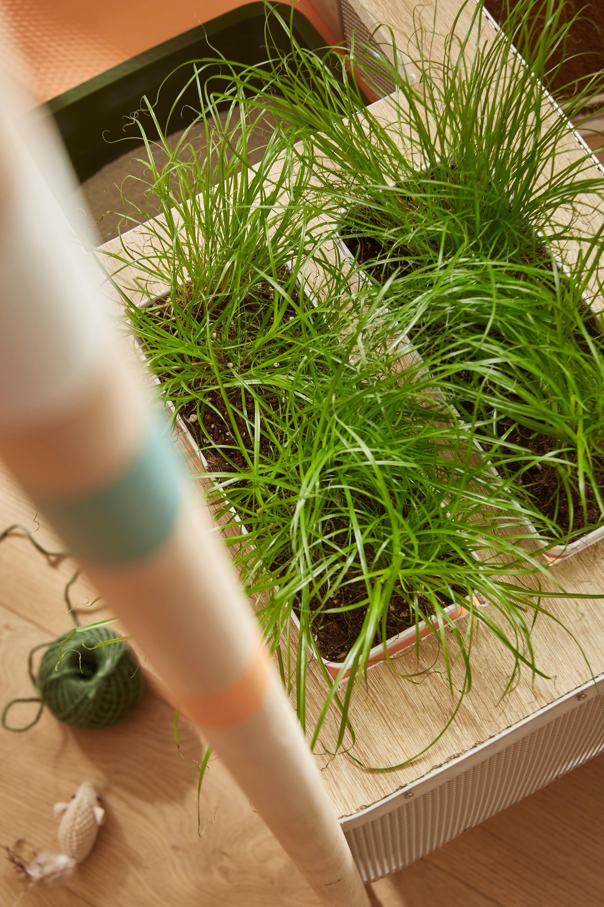 Manche pour balai cantonnier, L.140 cm - 6