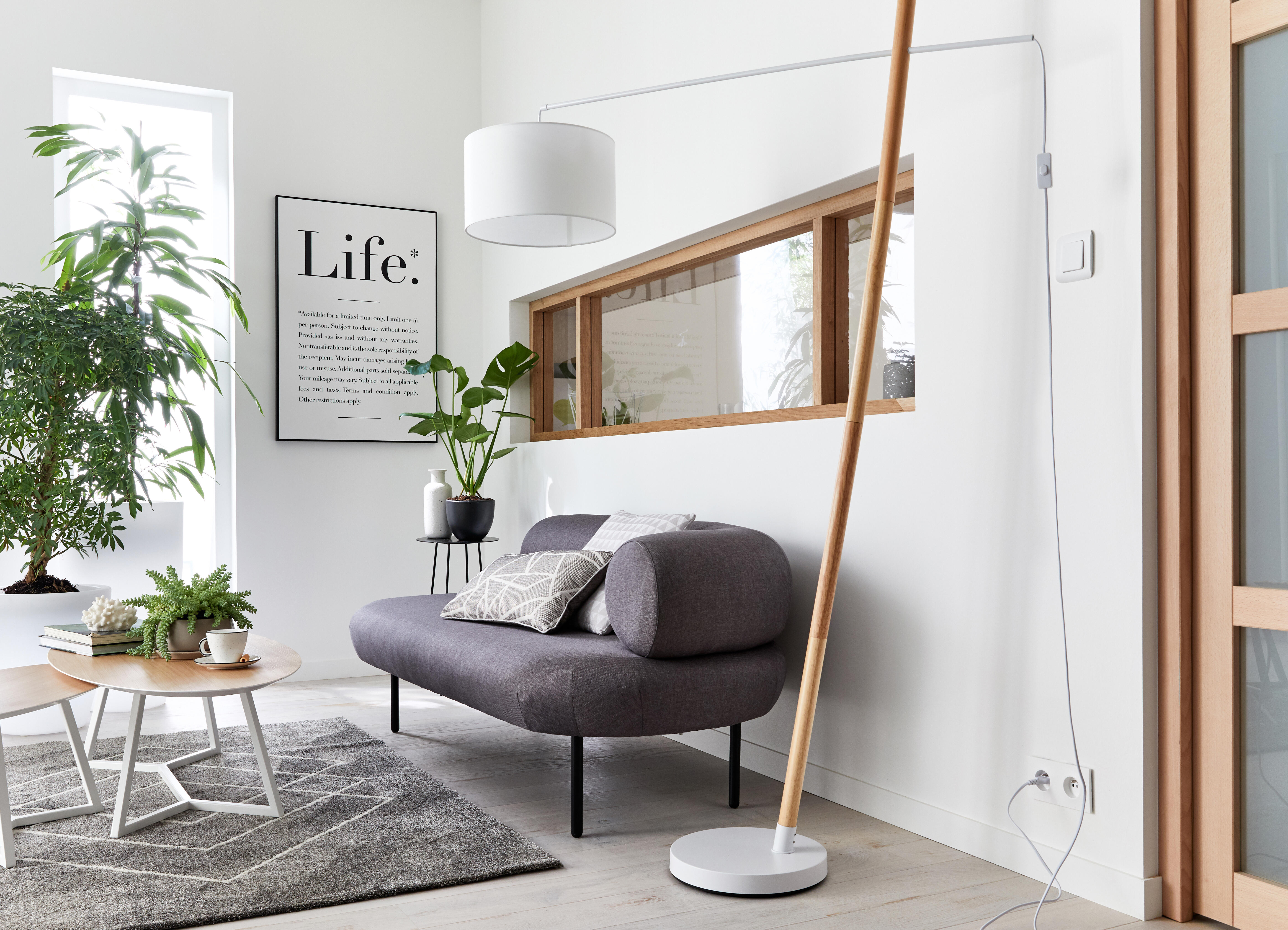 Double prise avec terre horizontal Neptune, LEGRAND, blanc - 4