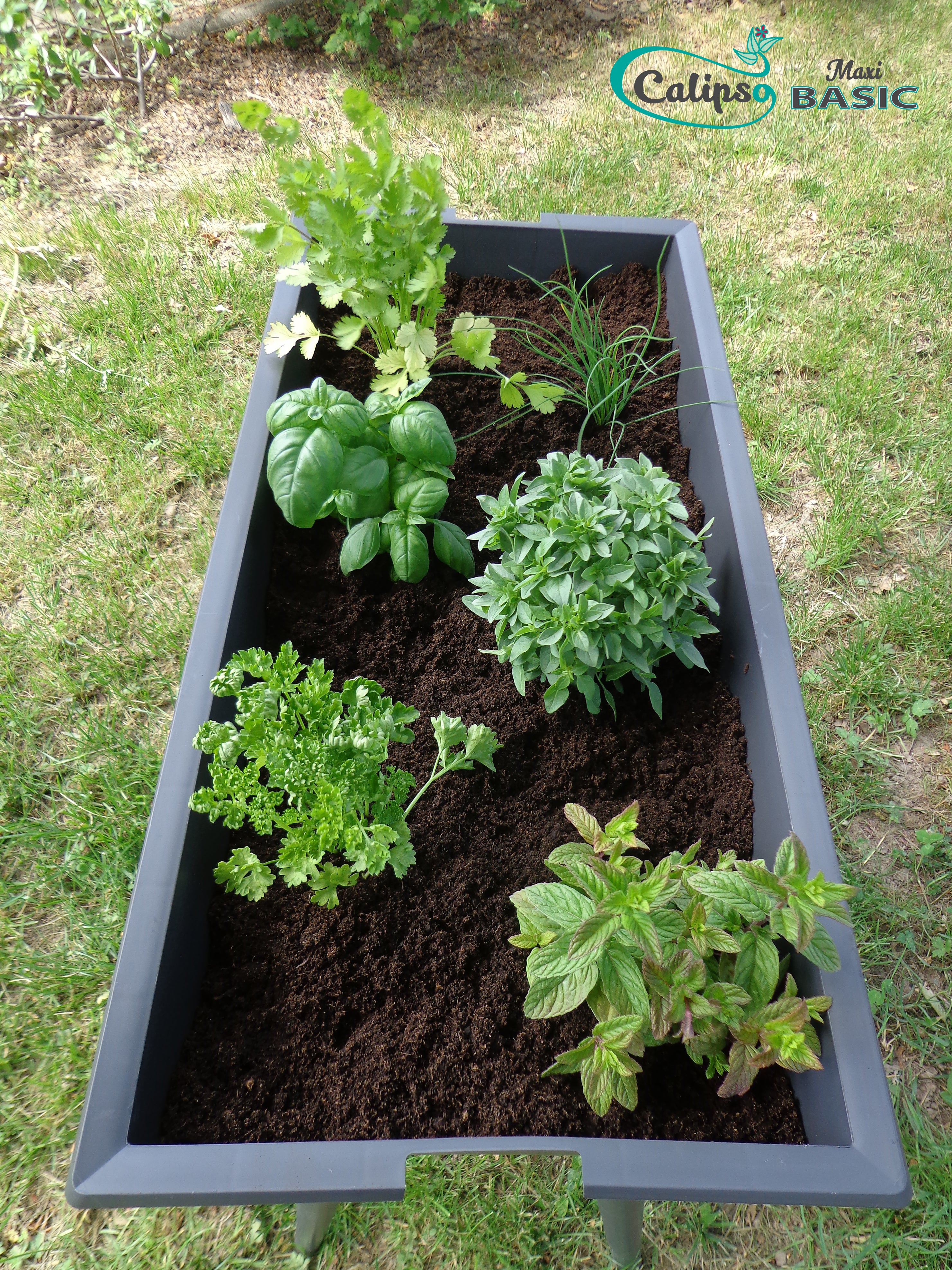 Potager sur pied polypropylène Basic l.81 x H.80 cm CALIPSO - 4