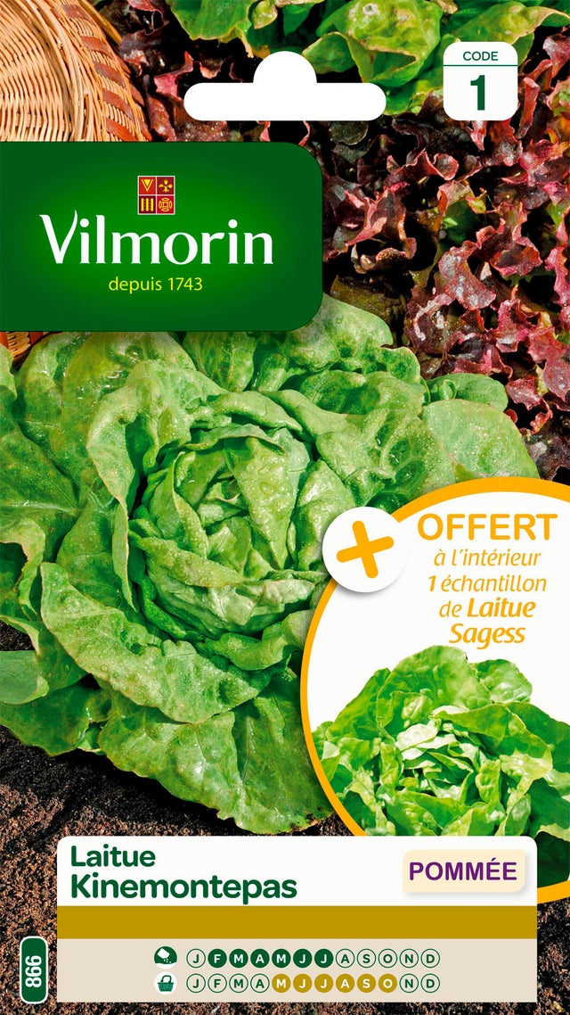 Graines de laitue VILMORIN 4.3 g